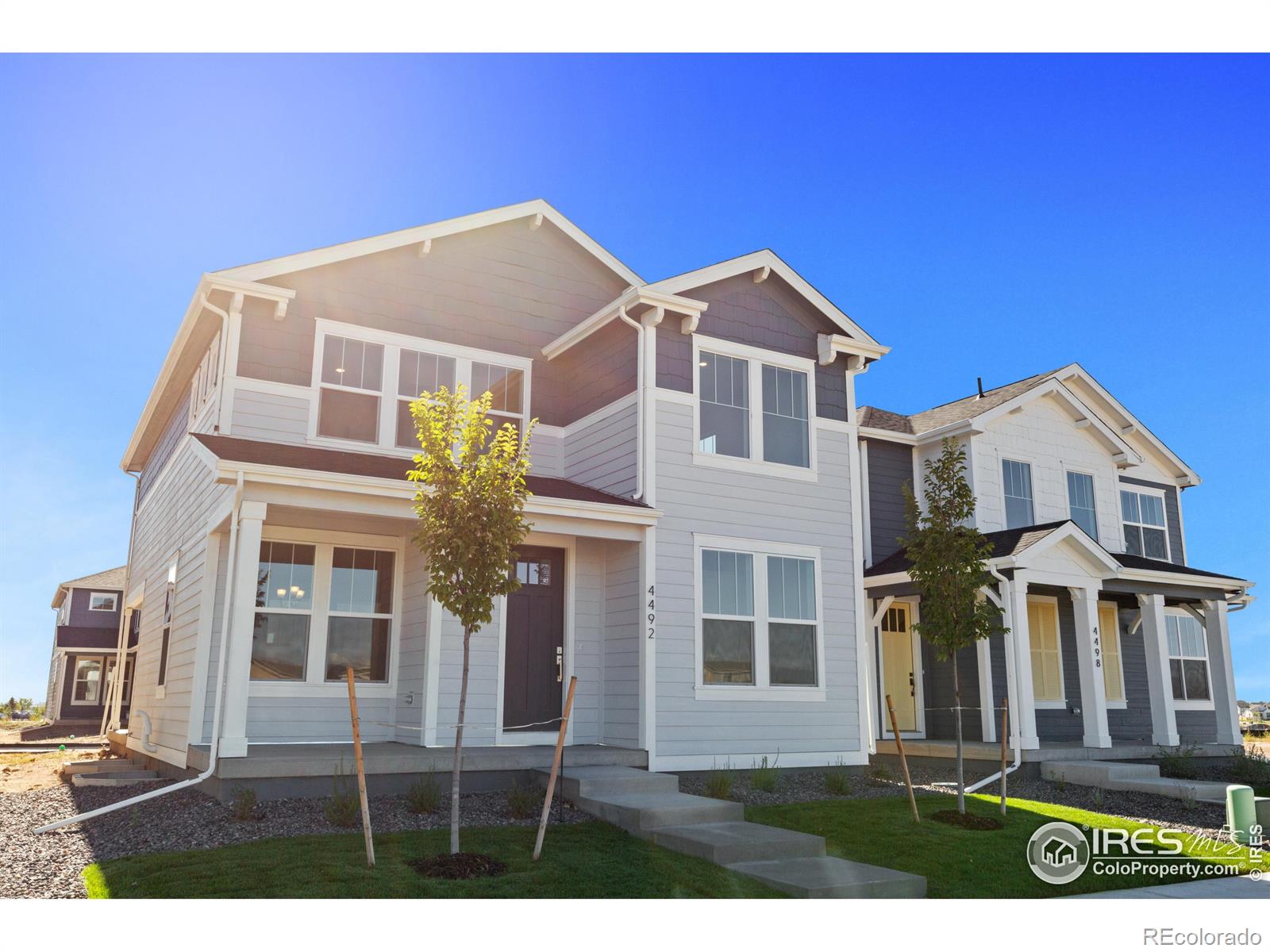 MLS Image #2 for 4492  burl street,timnath, Colorado