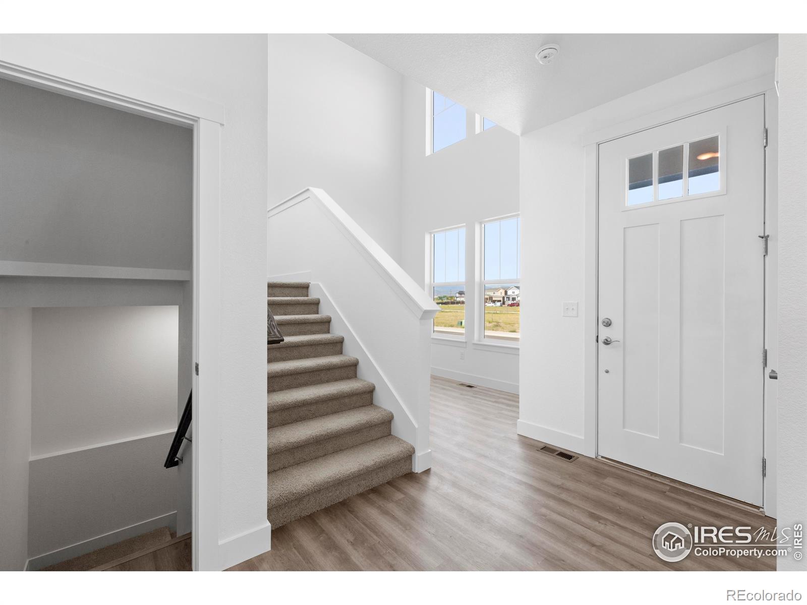MLS Image #20 for 4492  burl street,timnath, Colorado