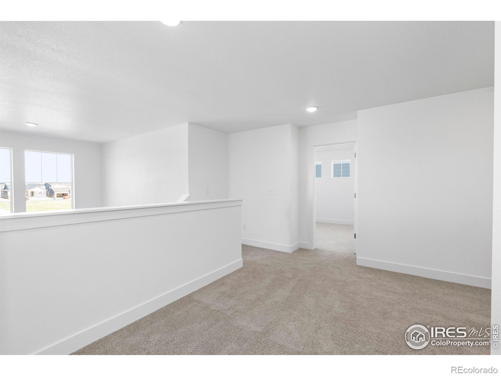 MLS Image #23 for 4492  burl street,timnath, Colorado