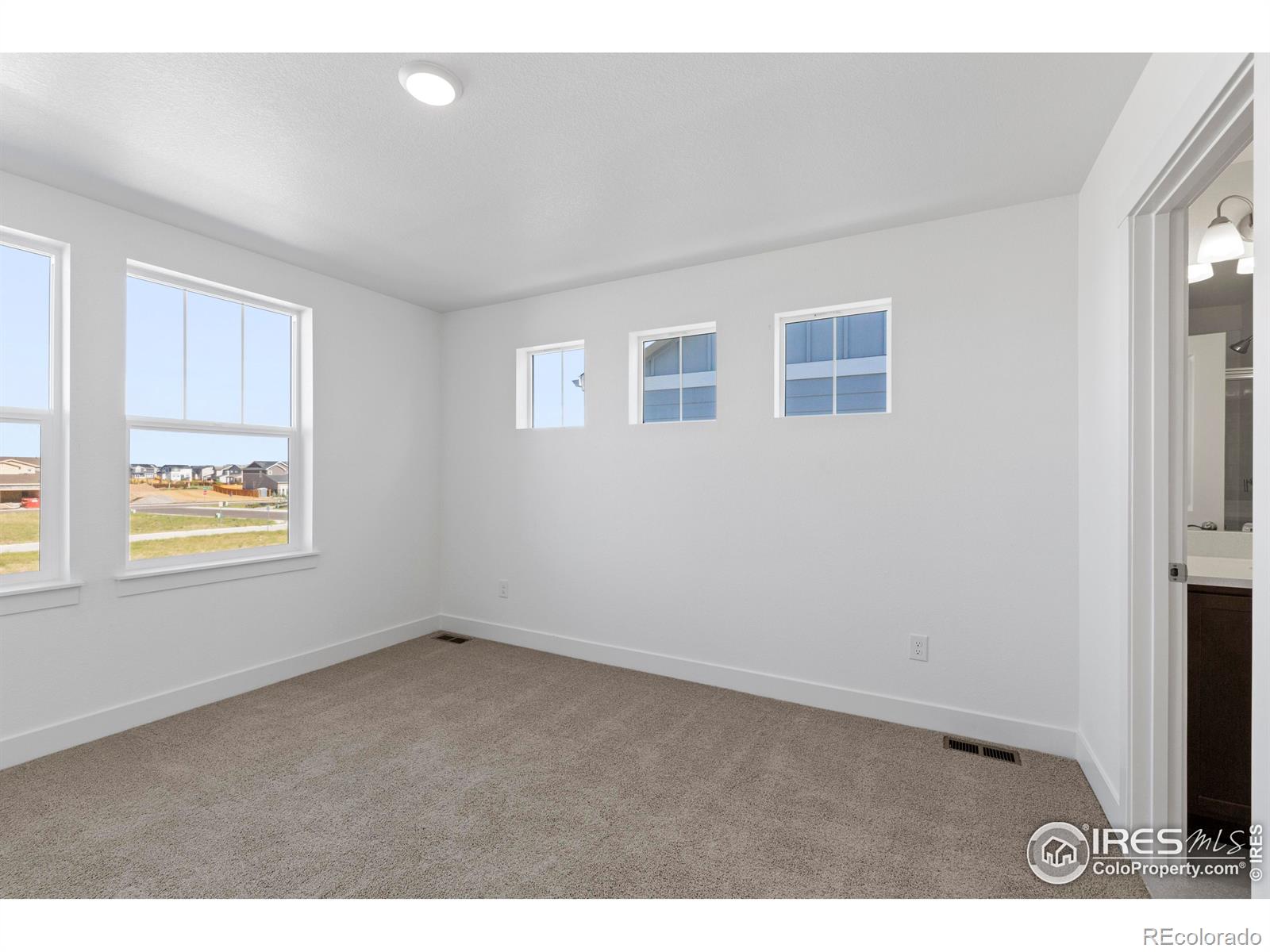 MLS Image #30 for 4492  burl street,timnath, Colorado