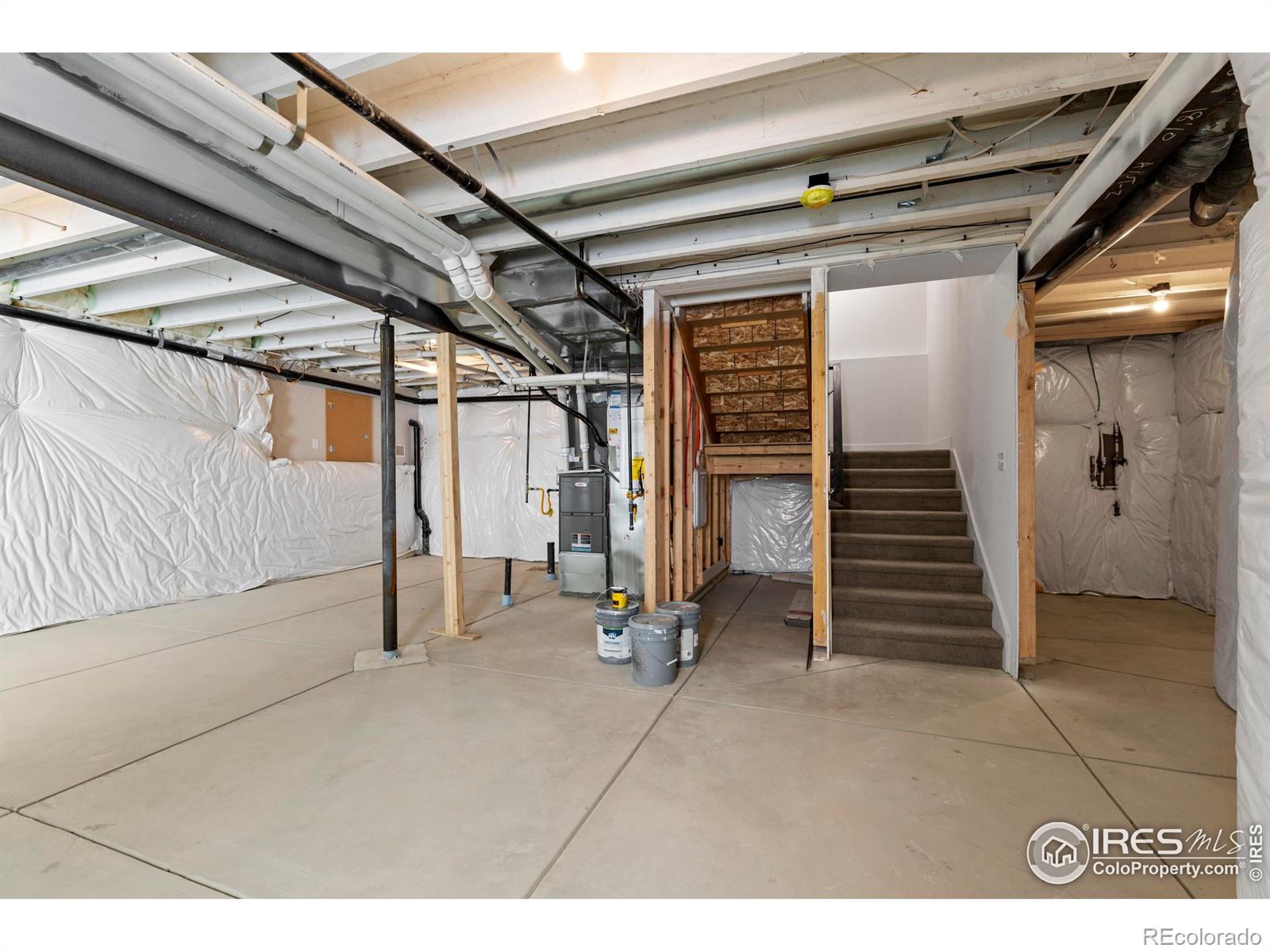 MLS Image #33 for 4492  burl street,timnath, Colorado