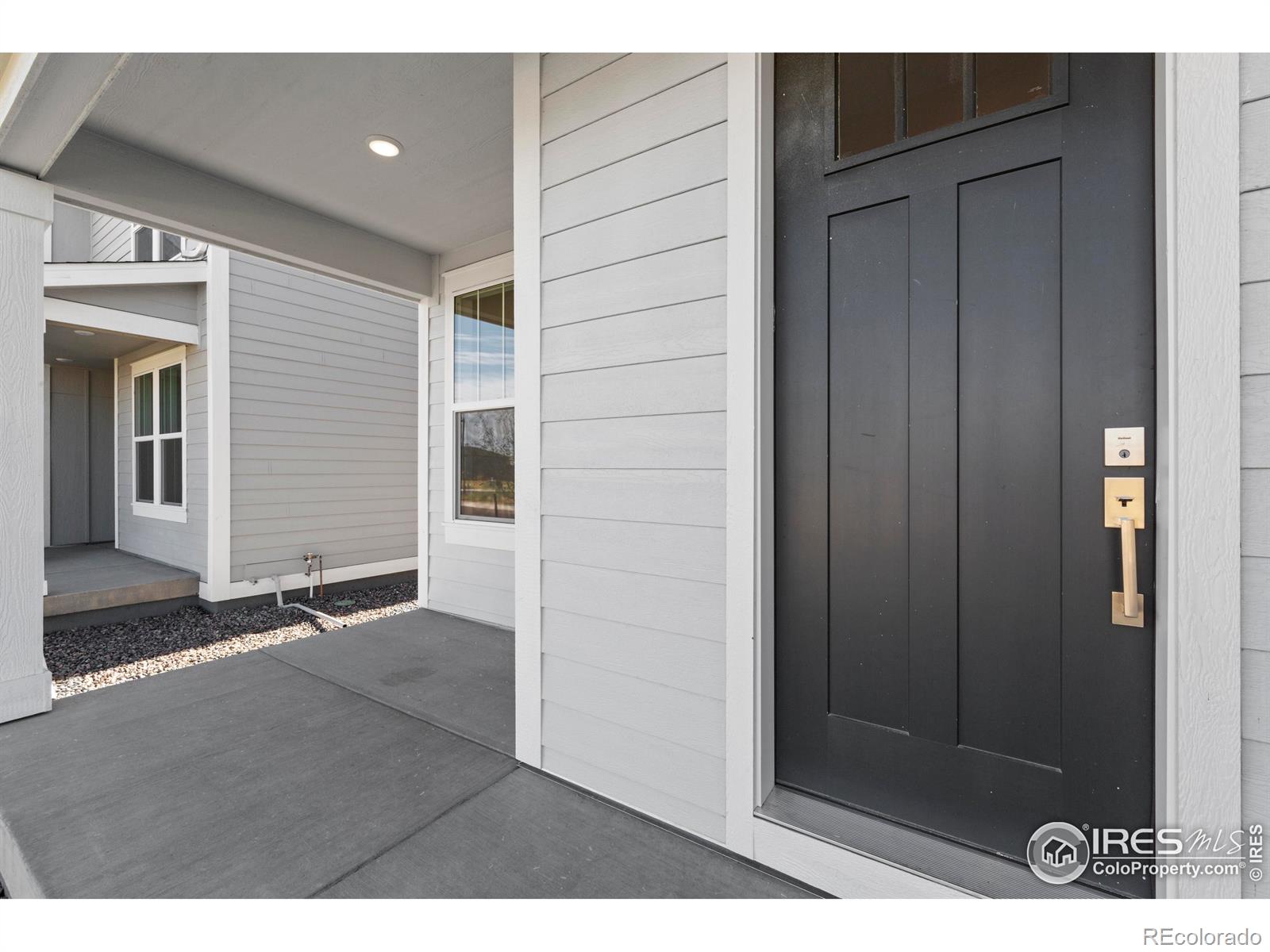 MLS Image #4 for 4492  burl street,timnath, Colorado