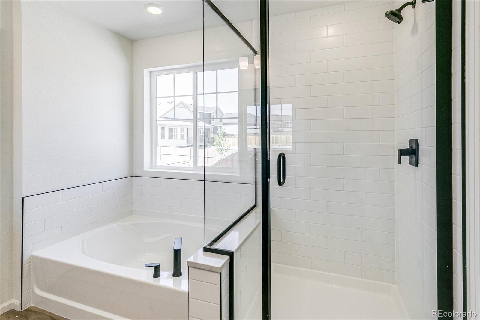 MLS Image #26 for 4451  soapberry place,castle rock, Colorado