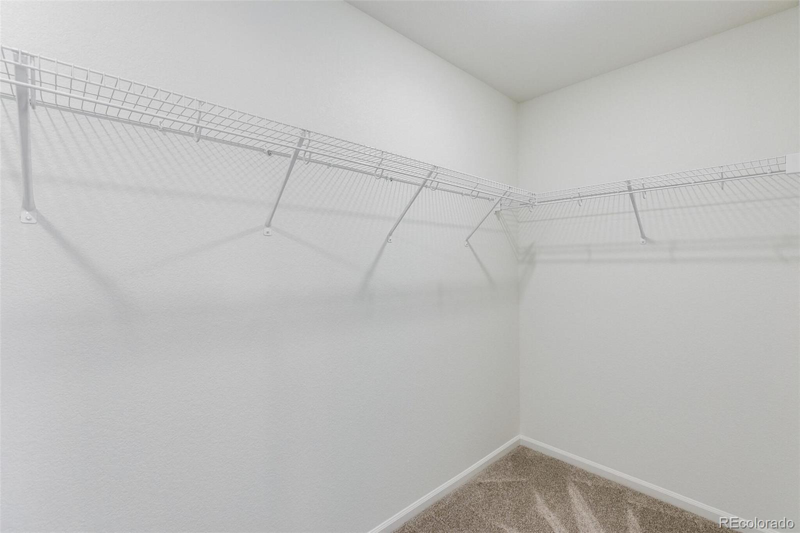 MLS Image #27 for 4451  soapberry place,castle rock, Colorado