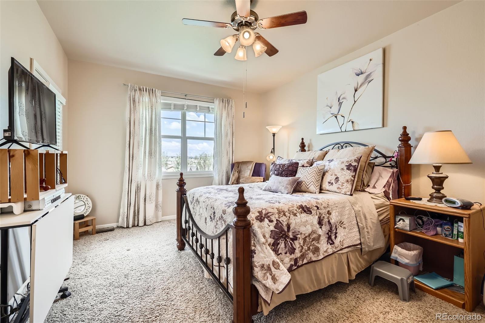 MLS Image #11 for 4338  alder springs view,colorado springs, Colorado