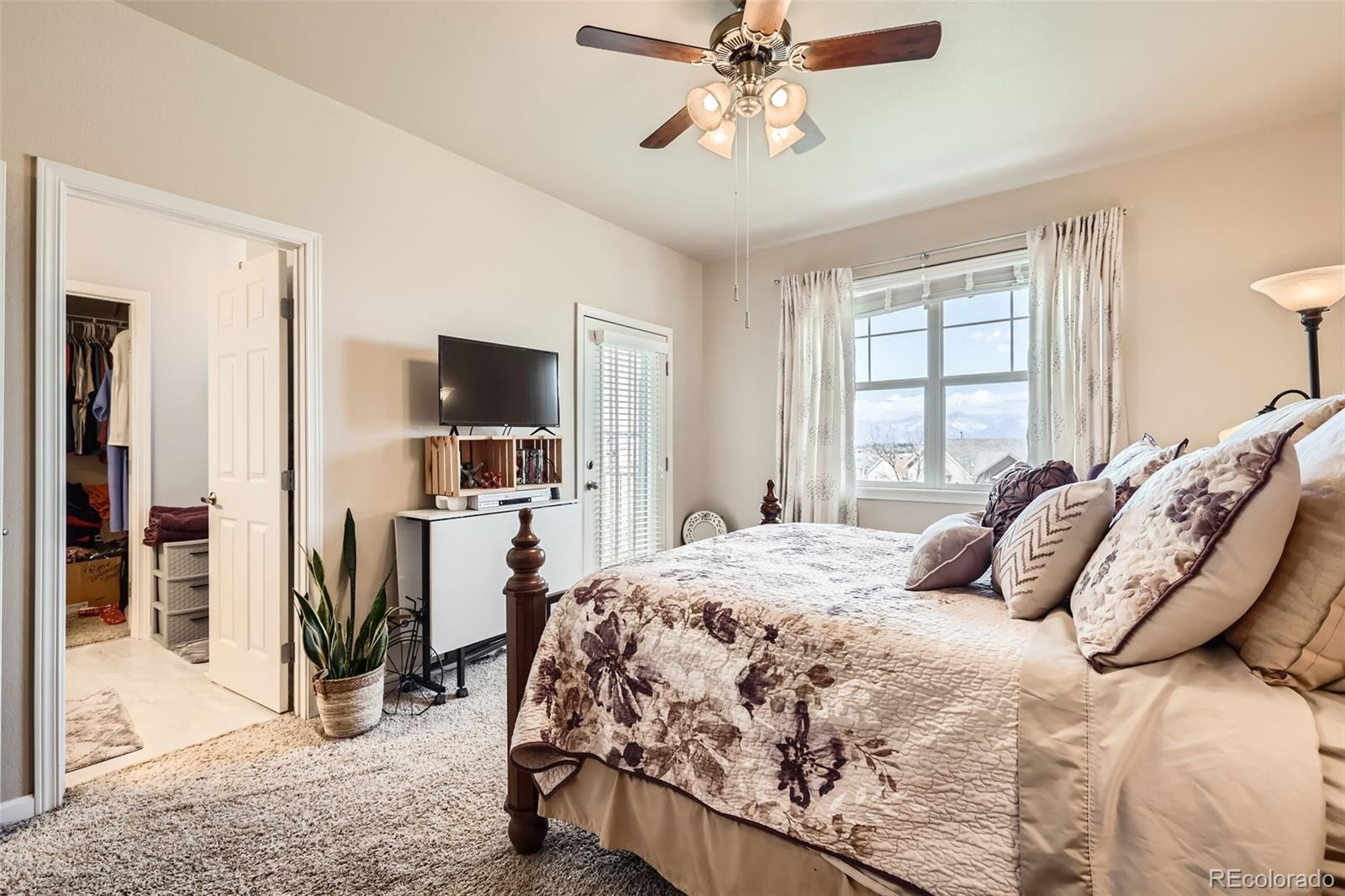 MLS Image #12 for 4338  alder springs view,colorado springs, Colorado