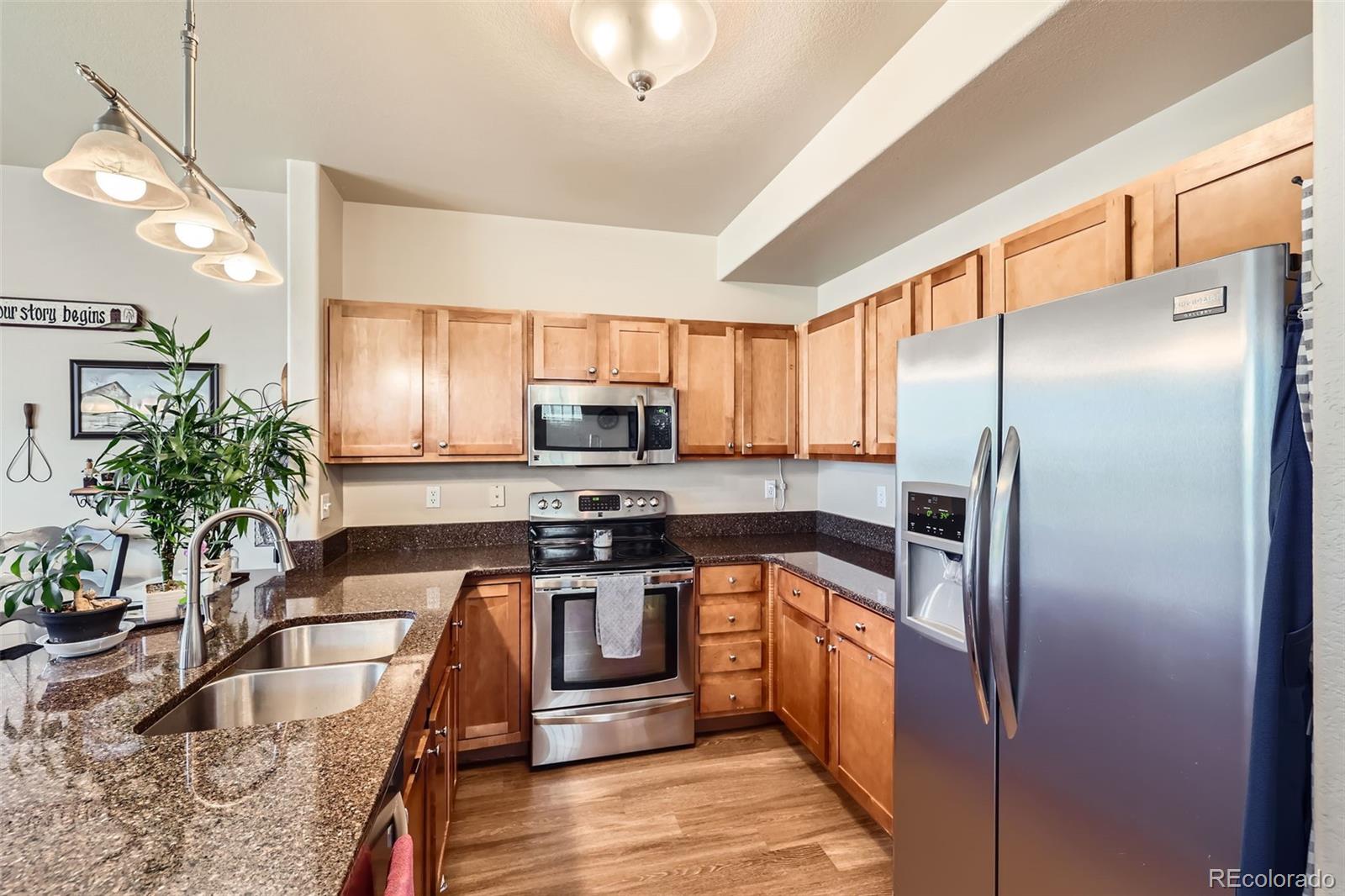 MLS Image #8 for 4338  alder springs view,colorado springs, Colorado
