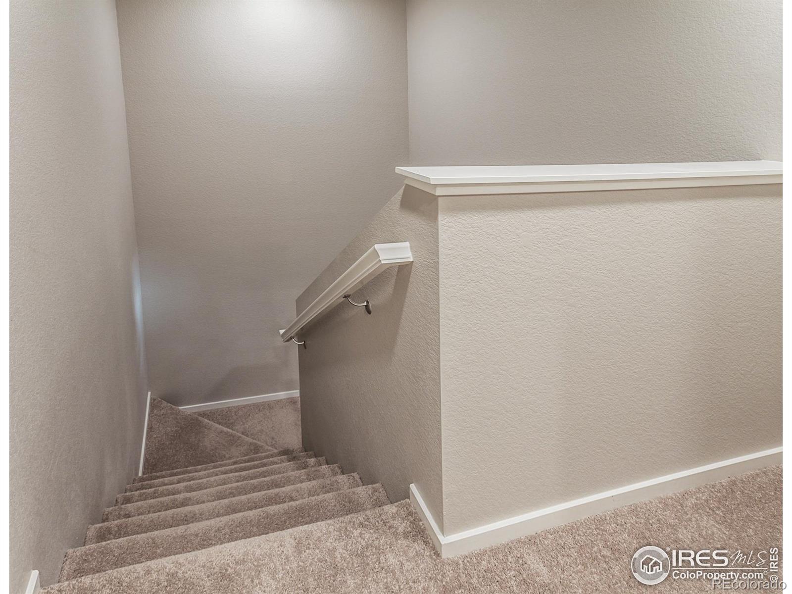 MLS Image #22 for 4905  autumn leaf drive,timnath, Colorado
