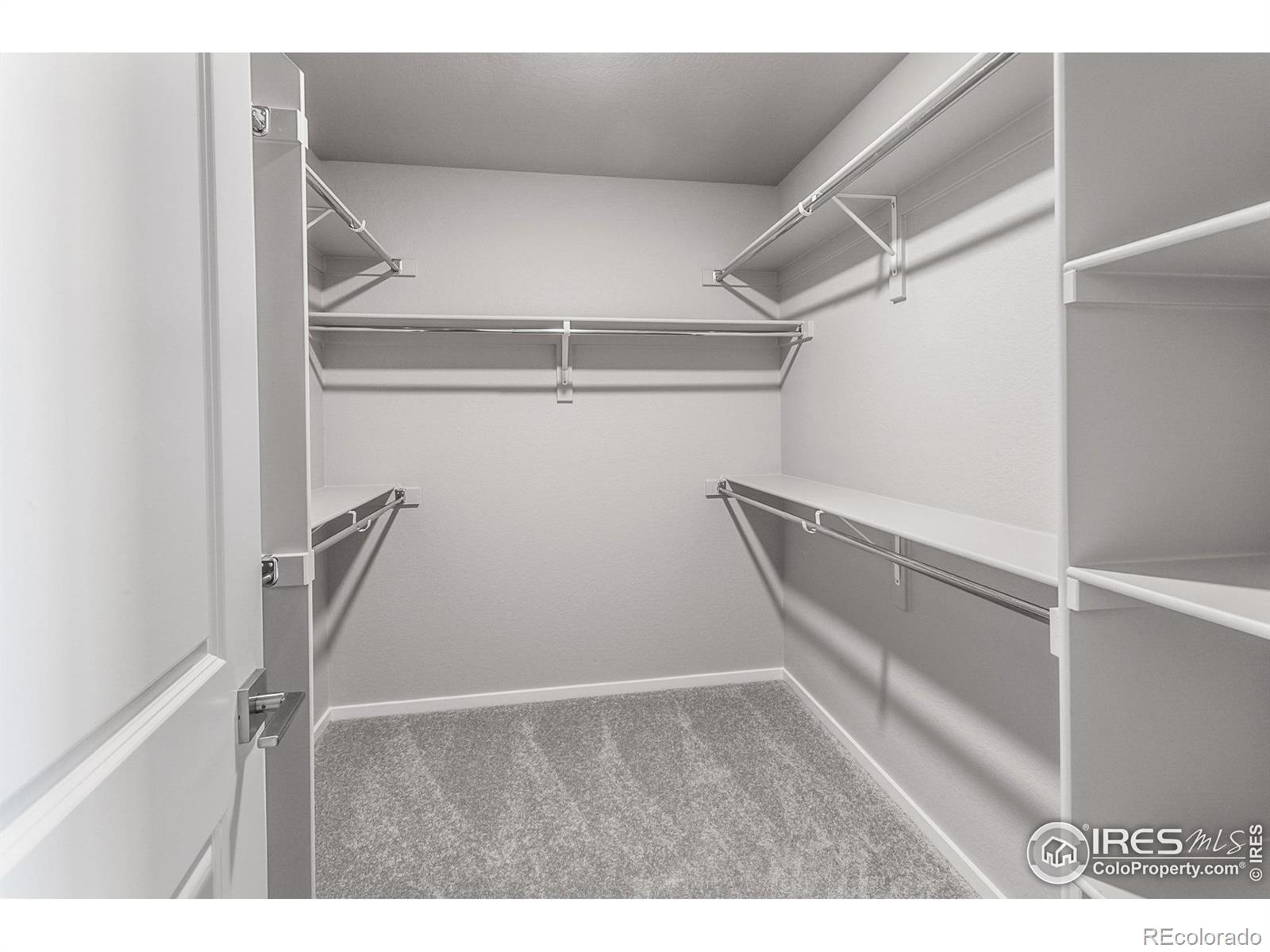 MLS Image #27 for 4905  autumn leaf drive,timnath, Colorado