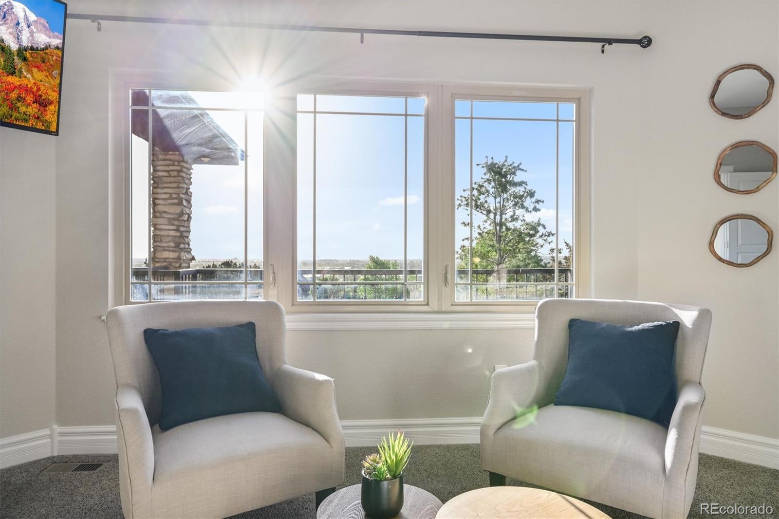 MLS Image #16 for 1780  merlin lane,windsor, Colorado