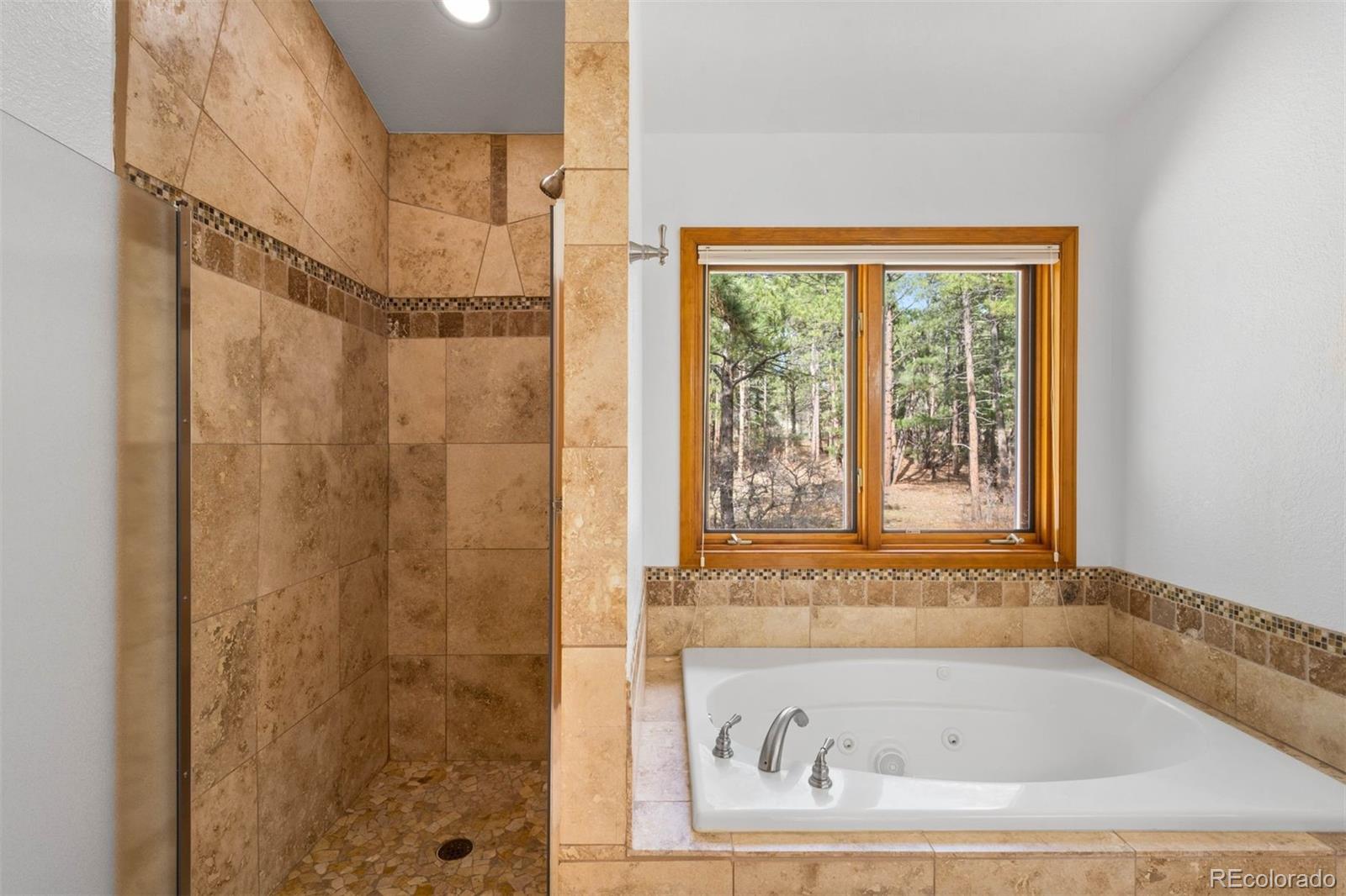 MLS Image #17 for 612  nob hill trail,franktown, Colorado