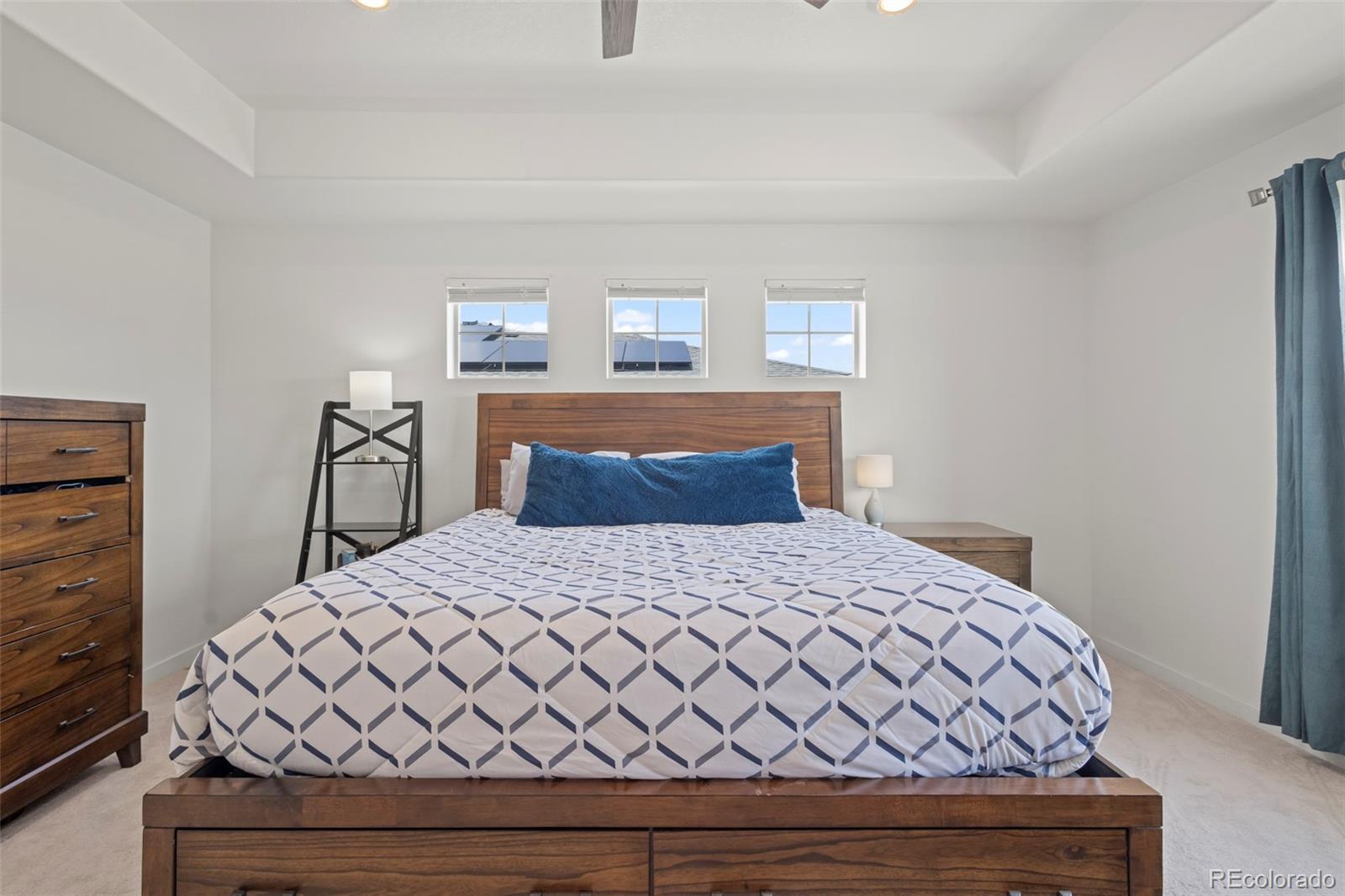 MLS Image #14 for 8372  bijou creek avenue,littleton, Colorado