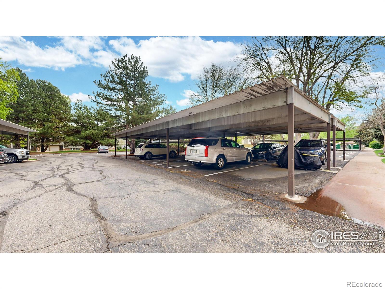 MLS Image #19 for 1309  kirkwood drive,fort collins, Colorado