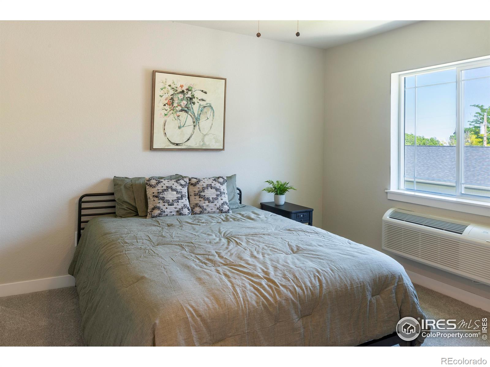 MLS Image #10 for 820  grant street,wray, Colorado