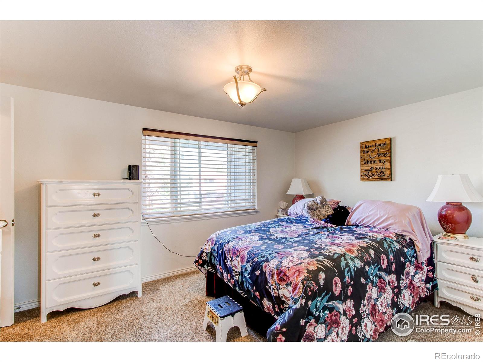MLS Image #14 for 11656  logan street,northglenn, Colorado