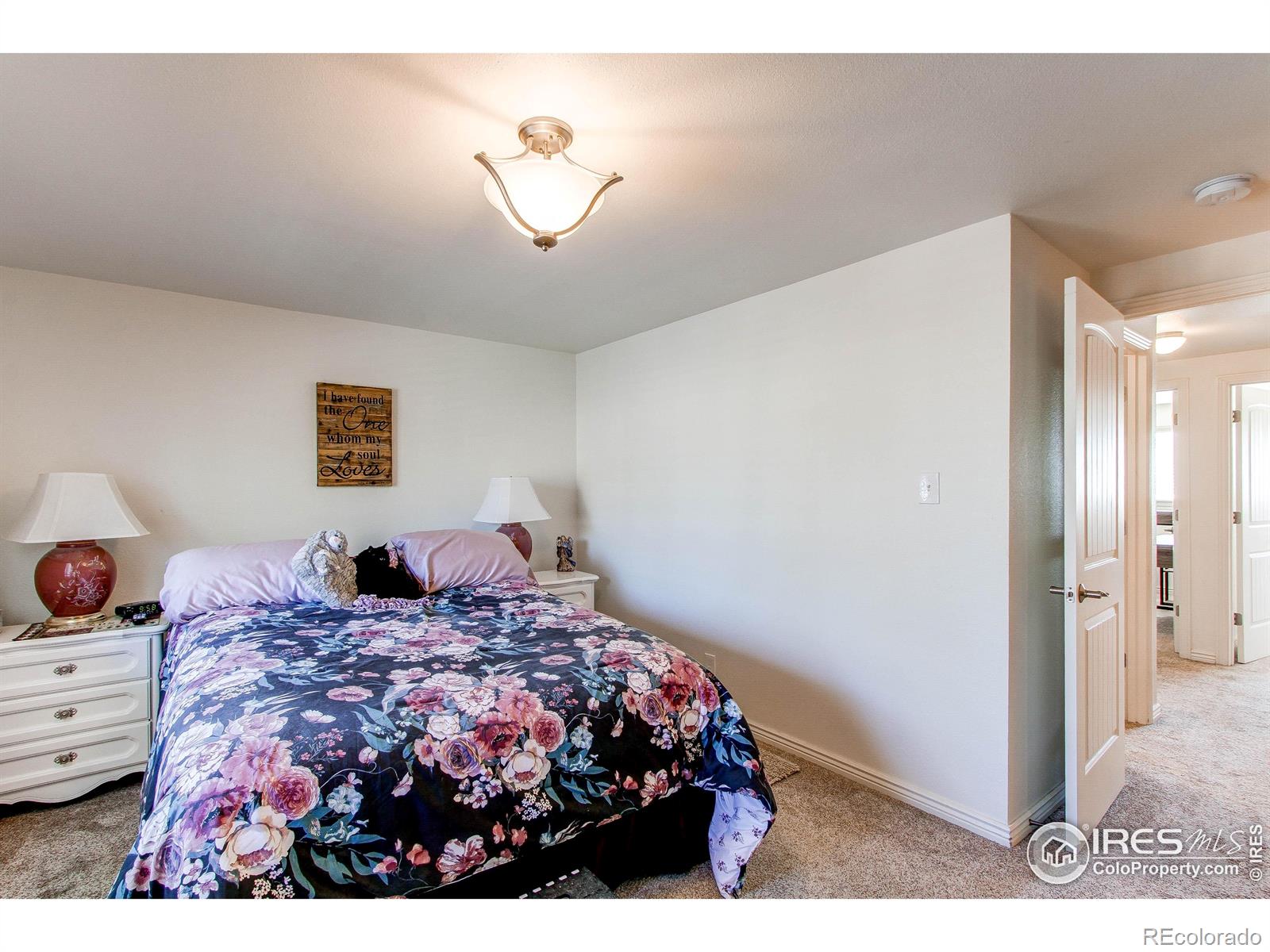MLS Image #16 for 11656  logan street,northglenn, Colorado