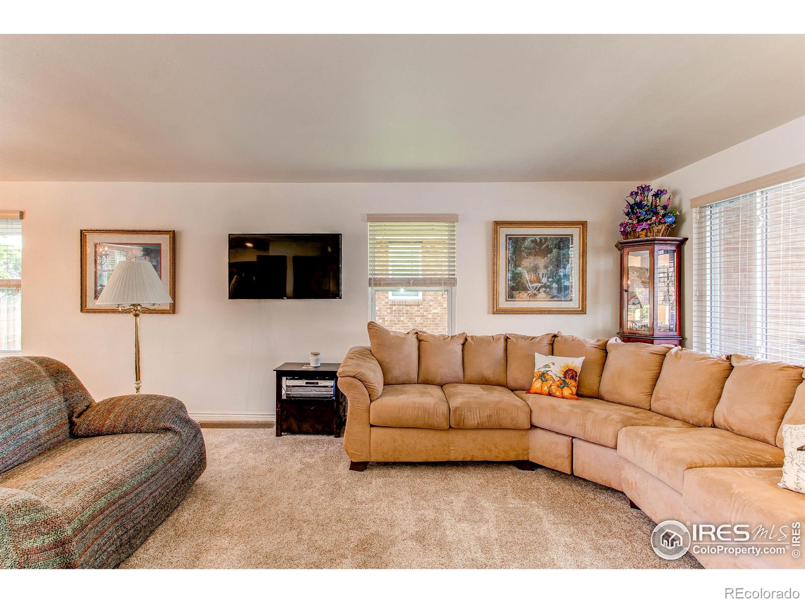 MLS Image #5 for 11656  logan street,northglenn, Colorado