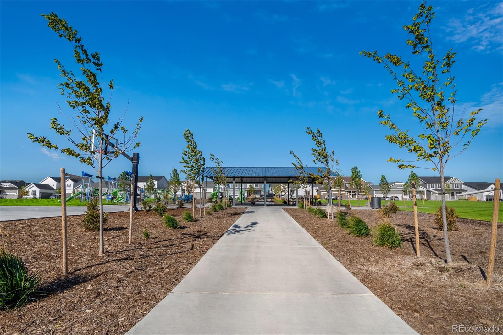 MLS Image #21 for 869  sawdust drive,brighton, Colorado
