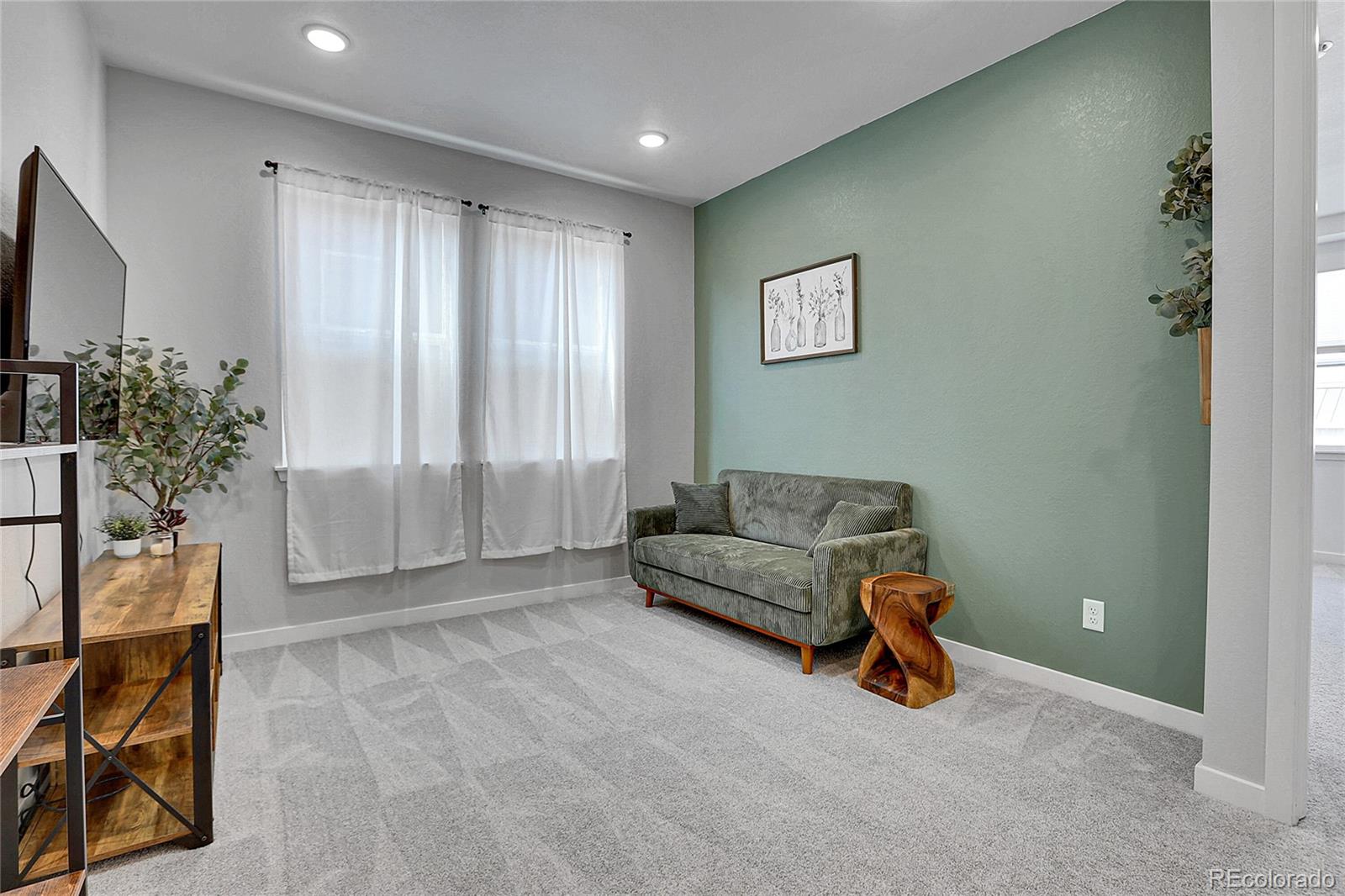 MLS Image #11 for 8728  hotchkiss street,littleton, Colorado