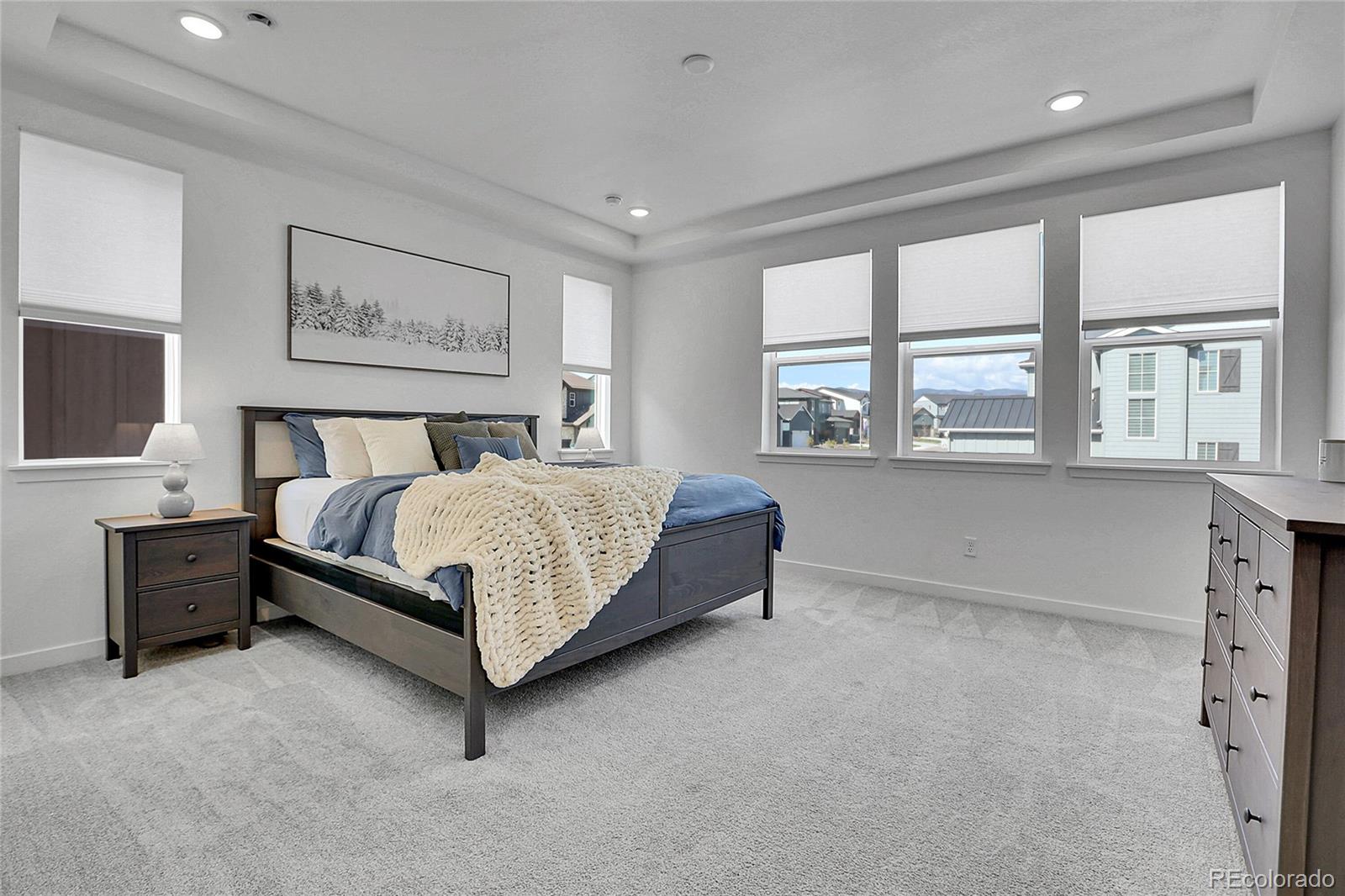 MLS Image #13 for 8728  hotchkiss street,littleton, Colorado