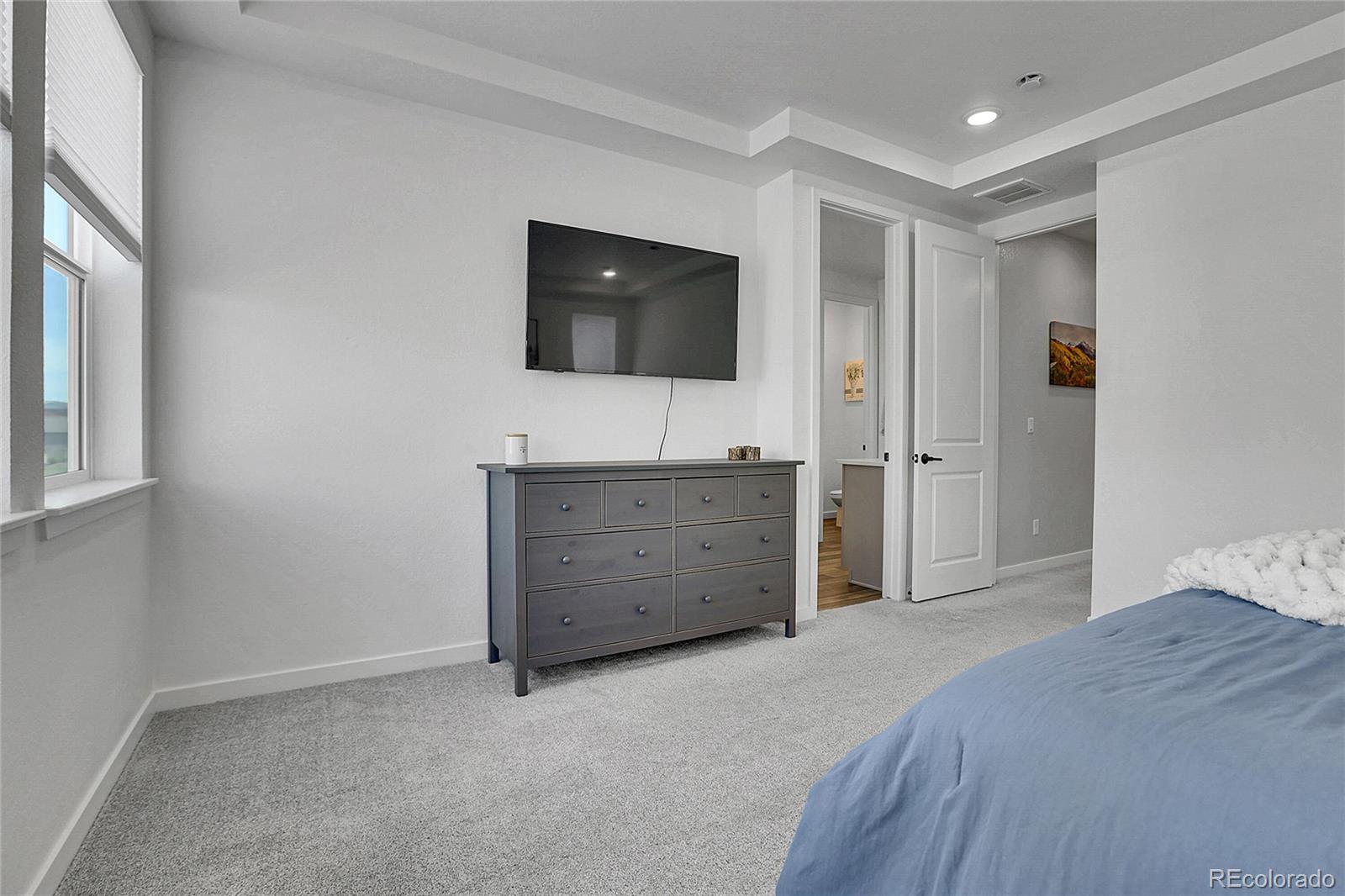 MLS Image #14 for 8728  hotchkiss street,littleton, Colorado