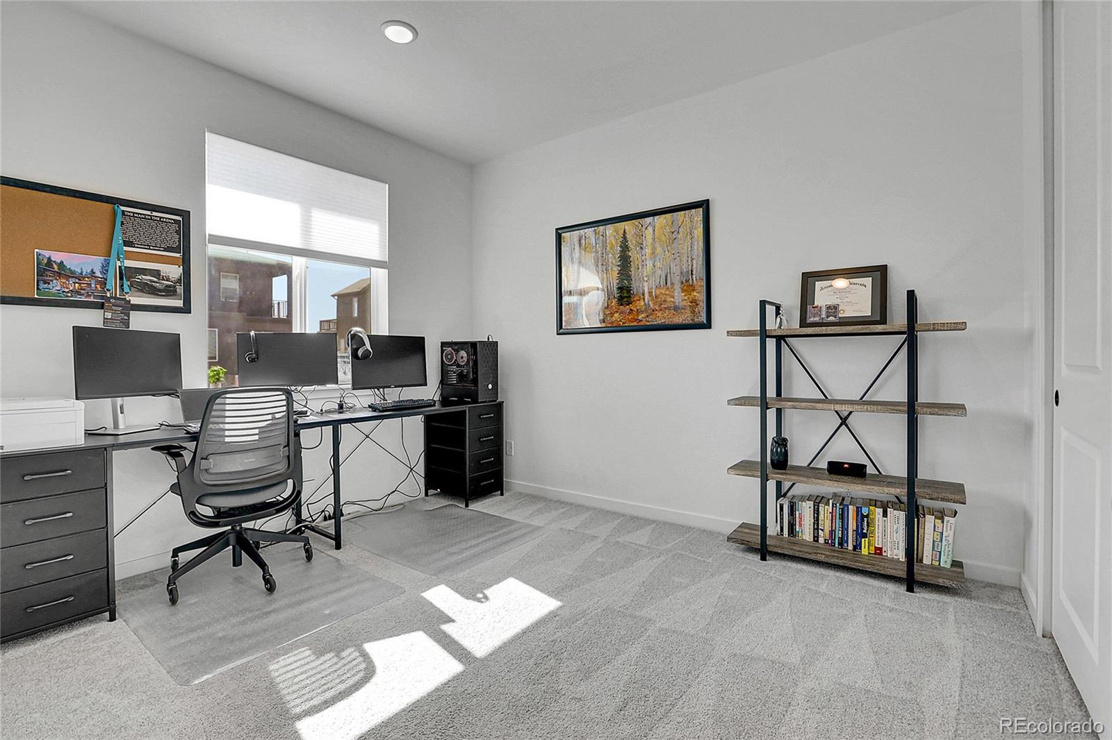 MLS Image #7 for 8728  hotchkiss street,littleton, Colorado