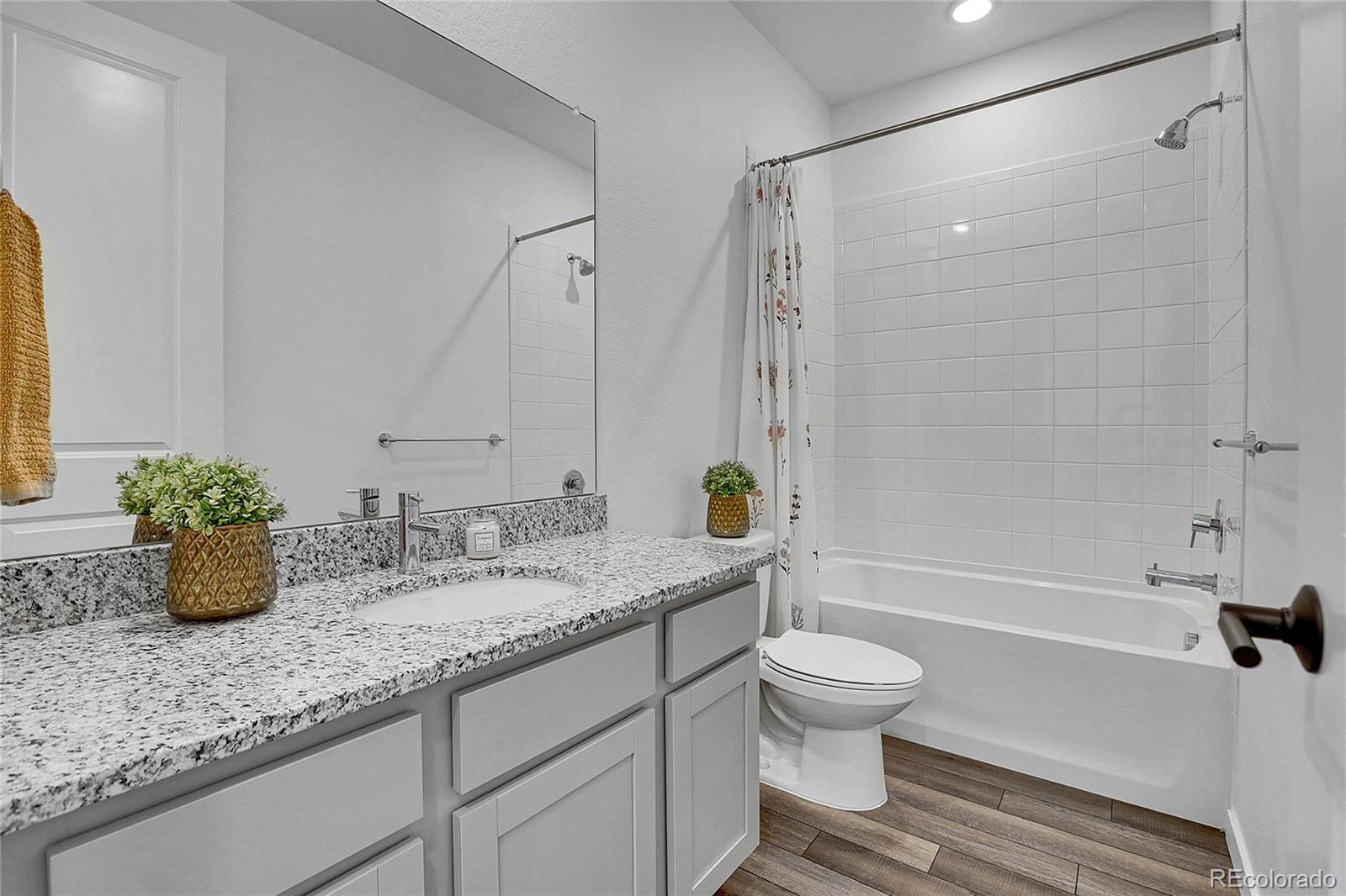 MLS Image #8 for 8728  hotchkiss street,littleton, Colorado