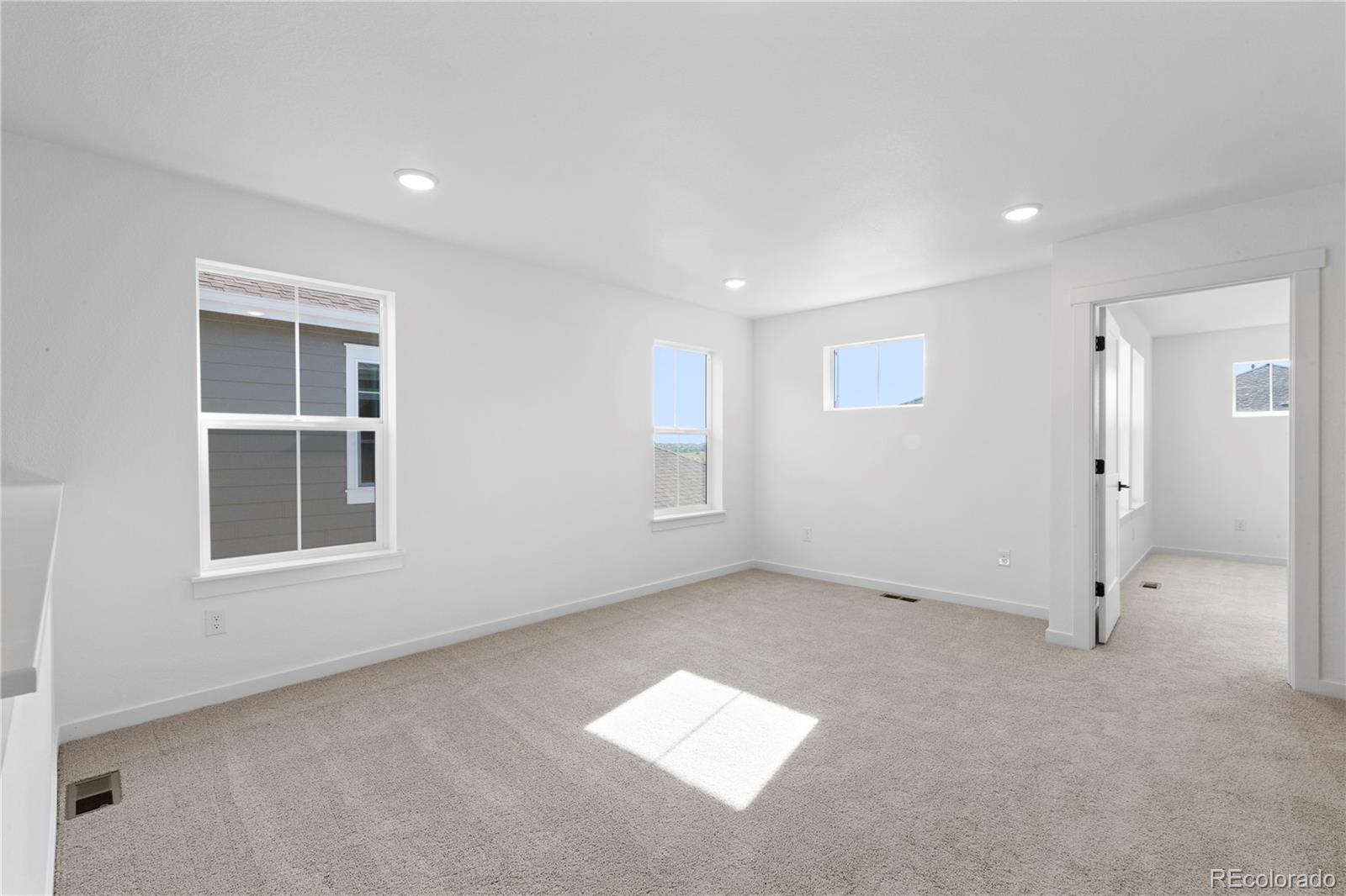 MLS Image #28 for 4486  burl street,timnath, Colorado