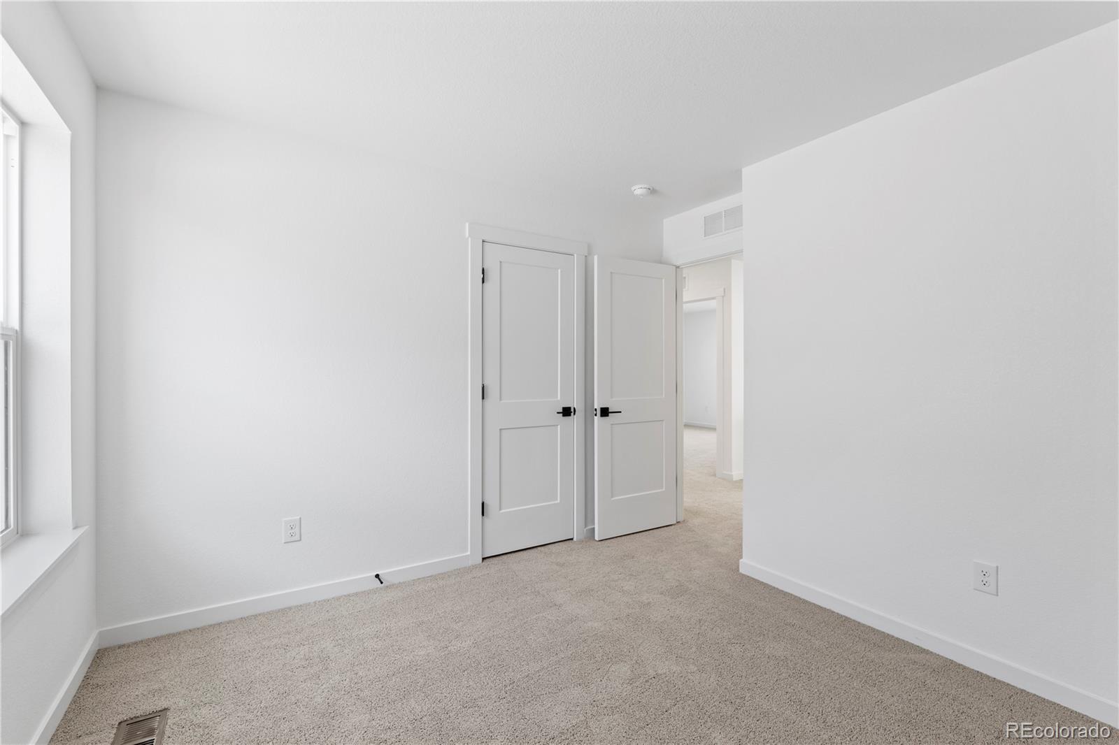 MLS Image #29 for 4486  burl street,timnath, Colorado