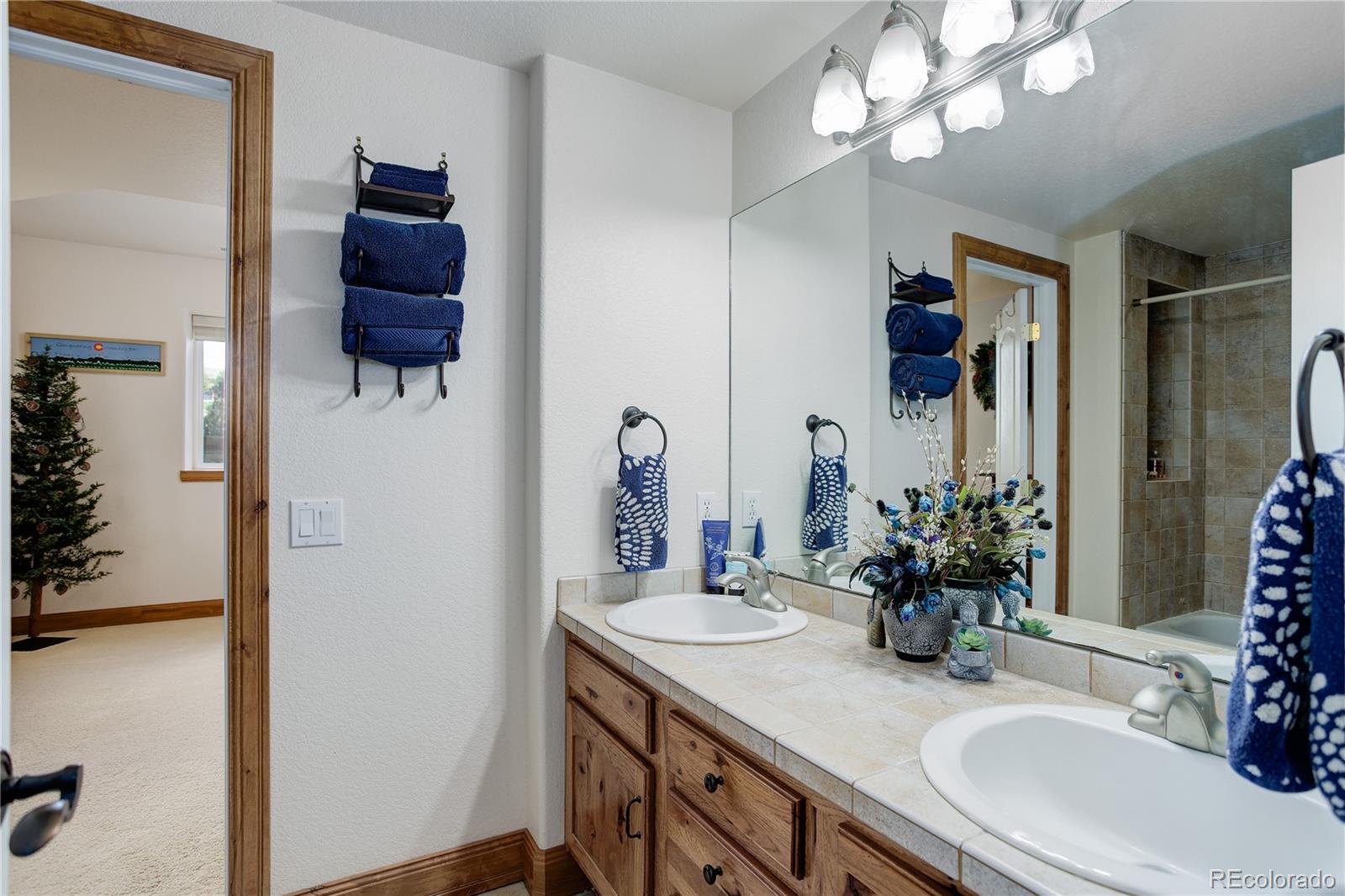 MLS Image #26 for 18190  bakers farm road,colorado springs, Colorado