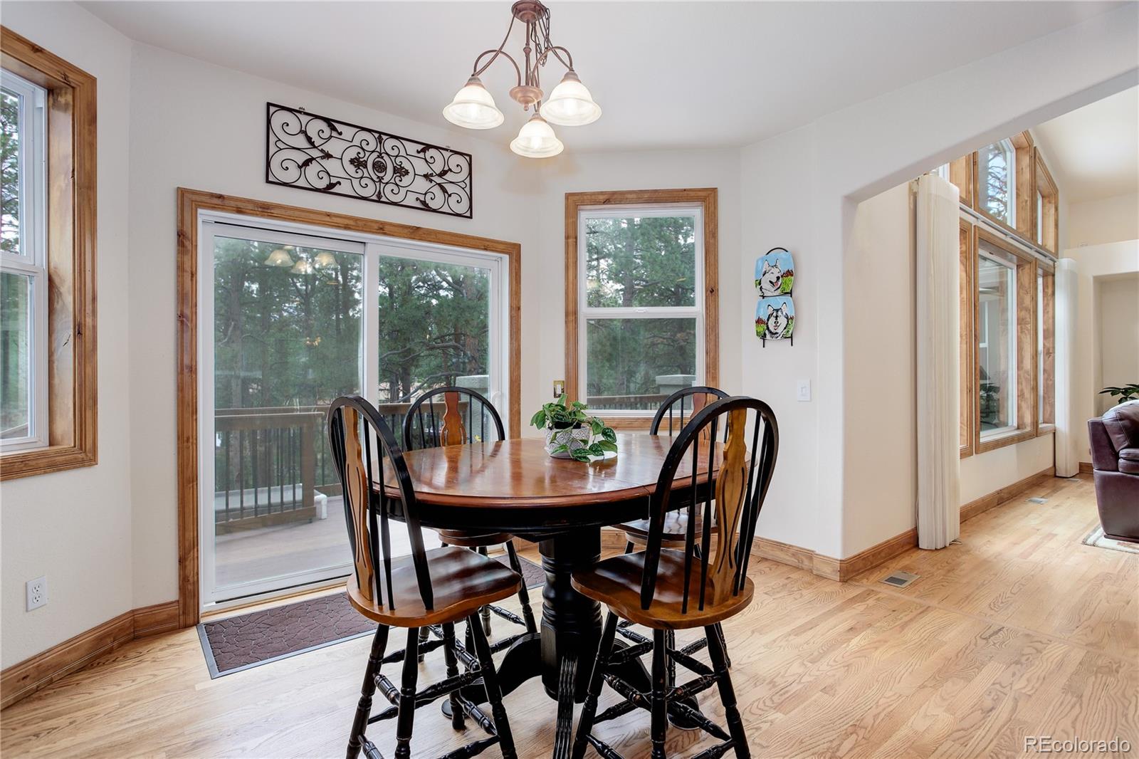 MLS Image #9 for 18190  bakers farm road,colorado springs, Colorado
