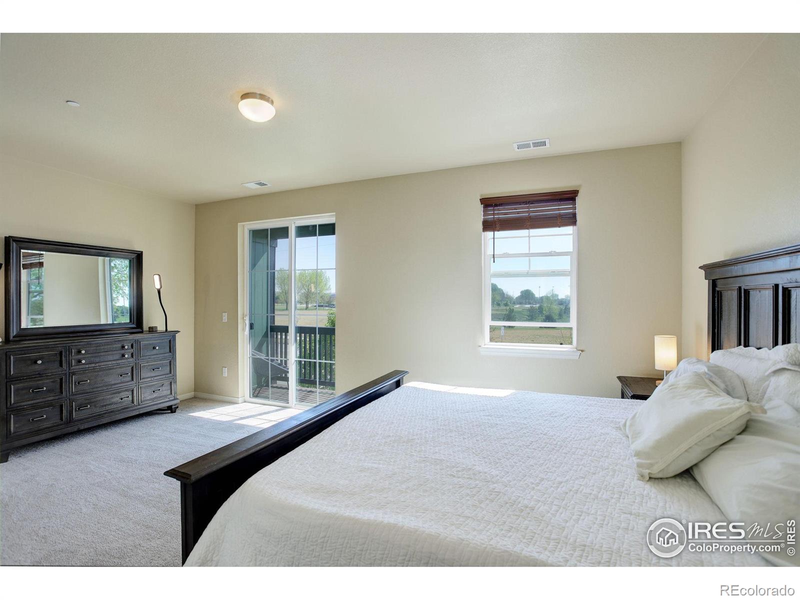 MLS Image #12 for 3051  county fair lane,fort collins, Colorado