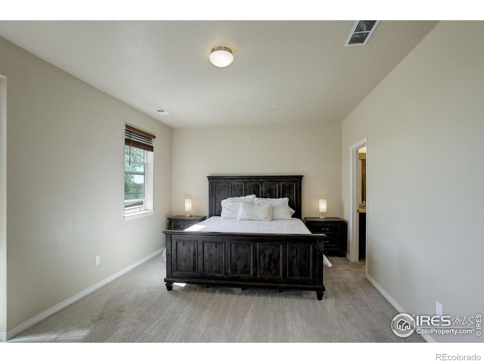 MLS Image #13 for 3051  county fair lane,fort collins, Colorado