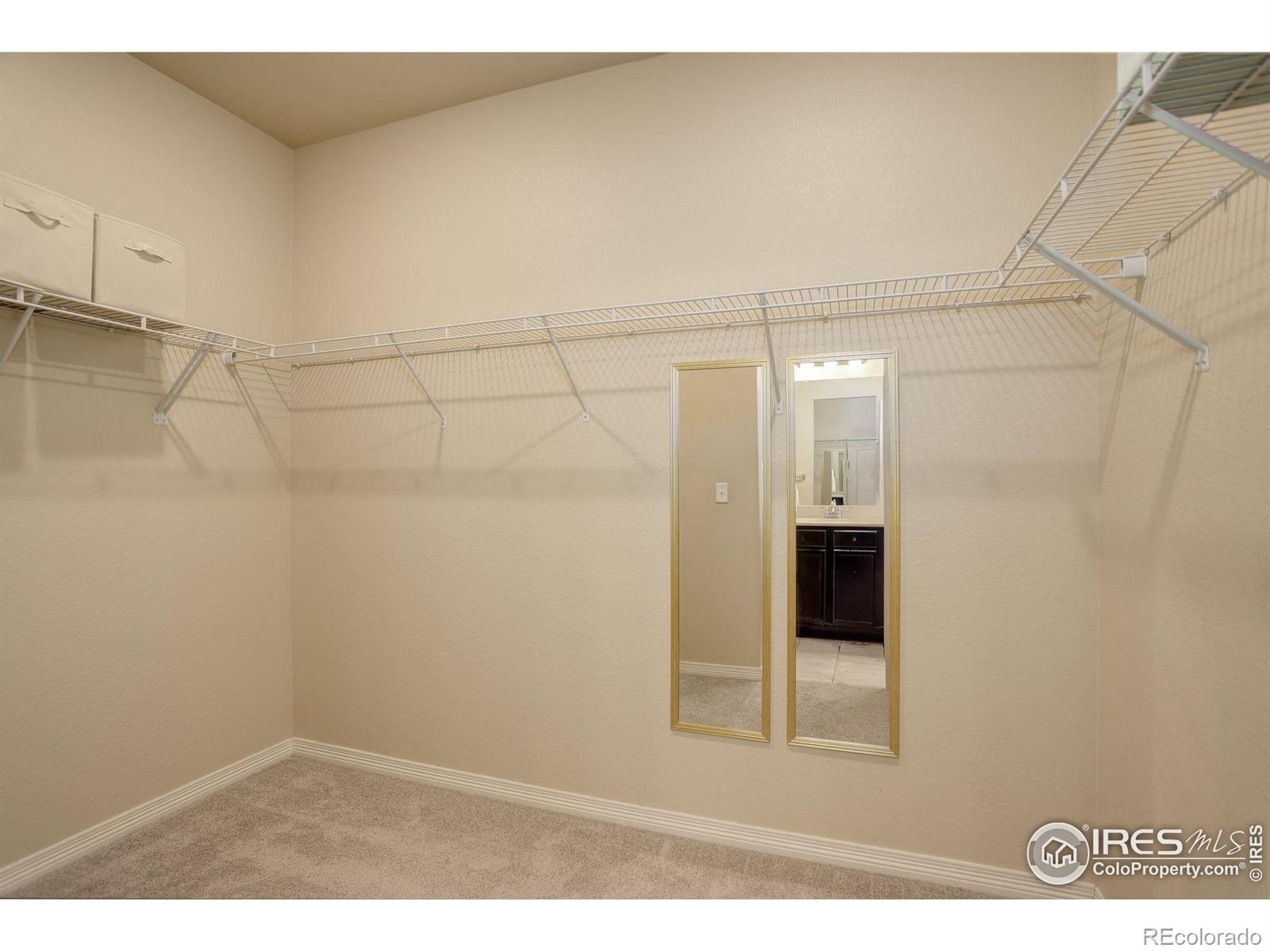 MLS Image #18 for 3051  county fair lane,fort collins, Colorado