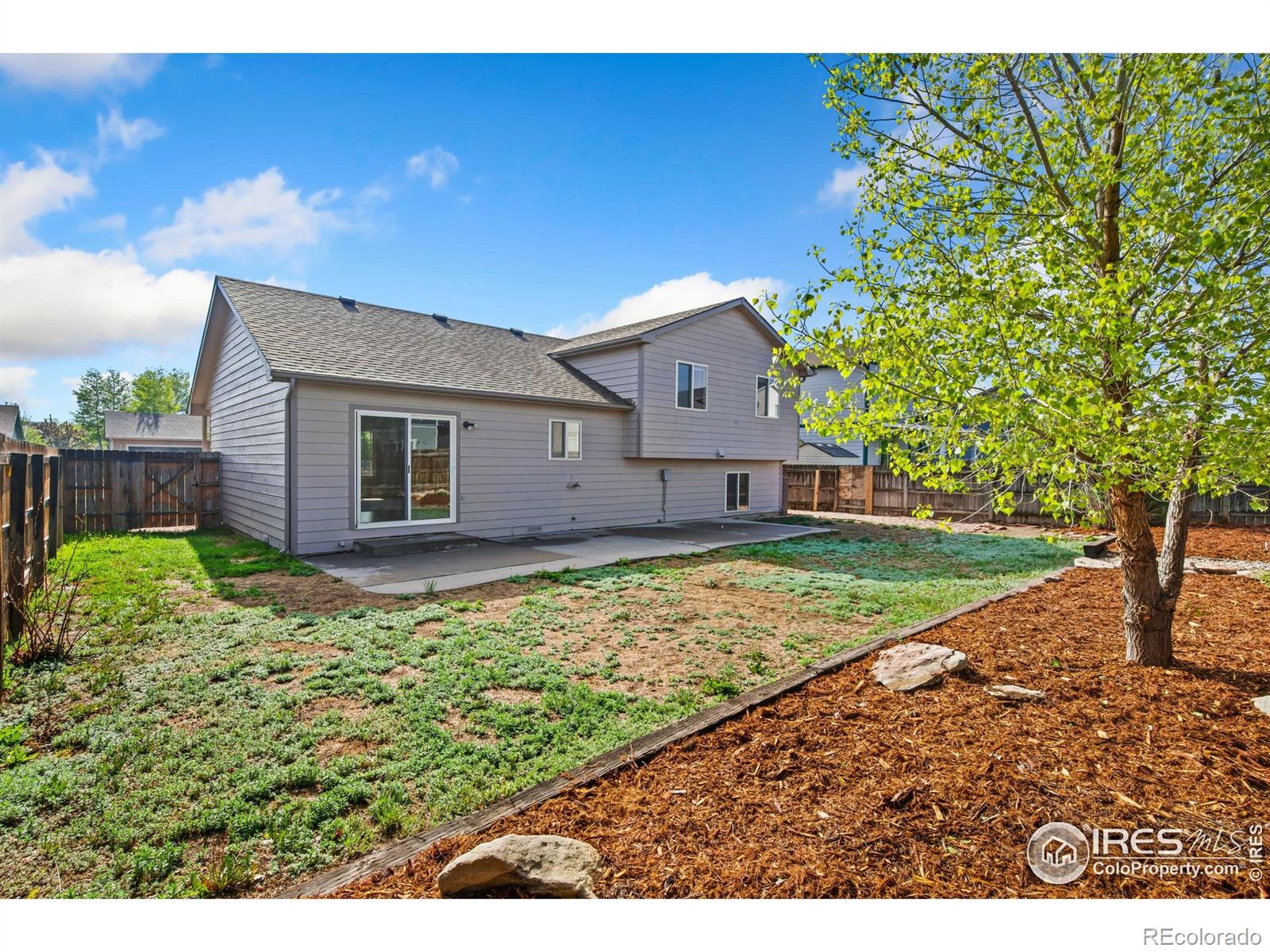 MLS Image #14 for 1431 s haymaker drive,milliken, Colorado