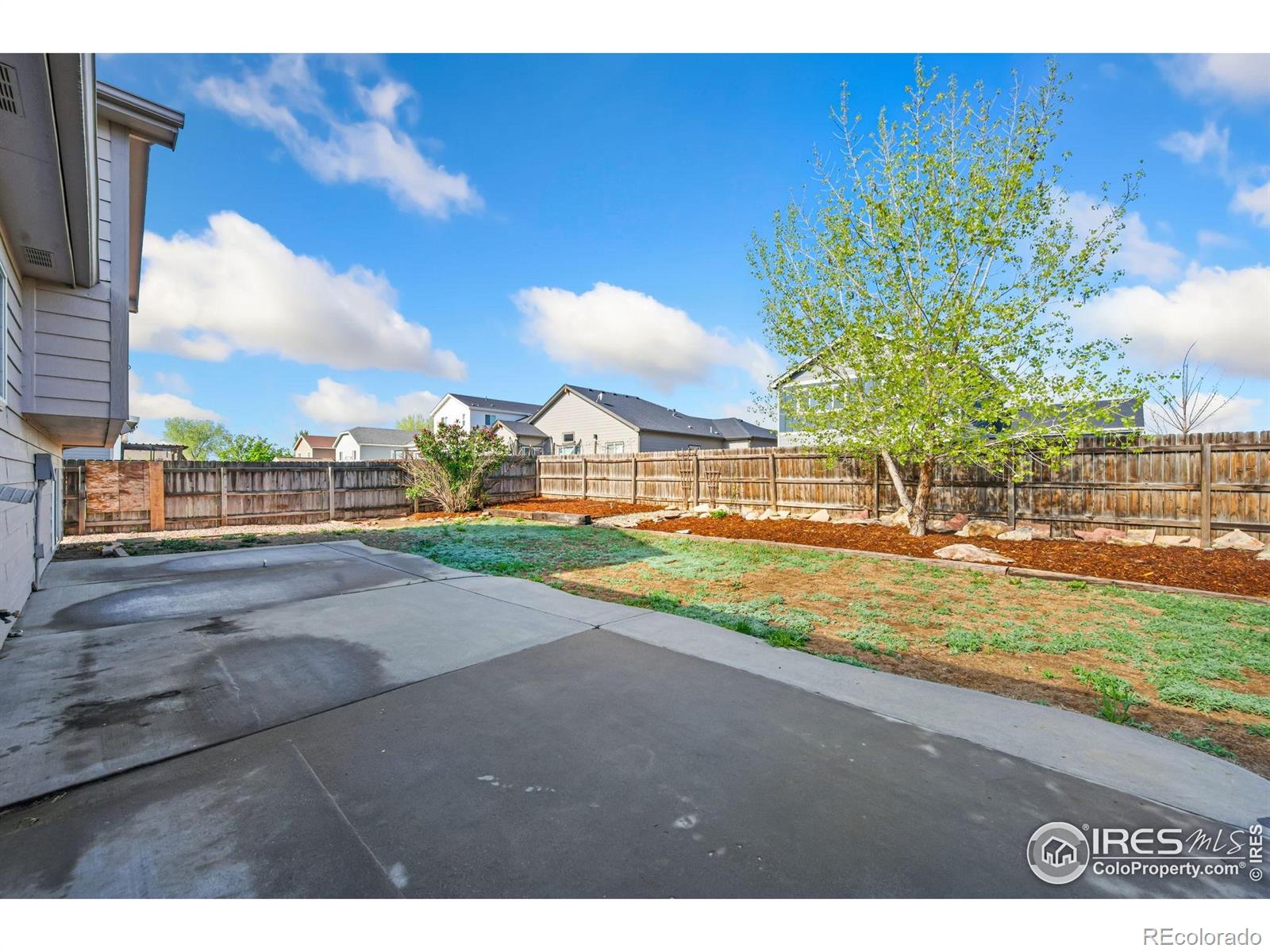 MLS Image #15 for 1431 s haymaker drive,milliken, Colorado
