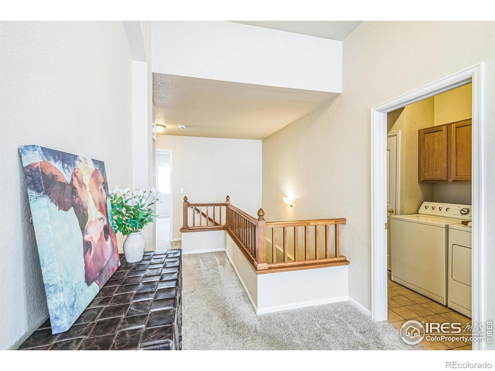 MLS Image #16 for 1404  tonkin place,longmont, Colorado
