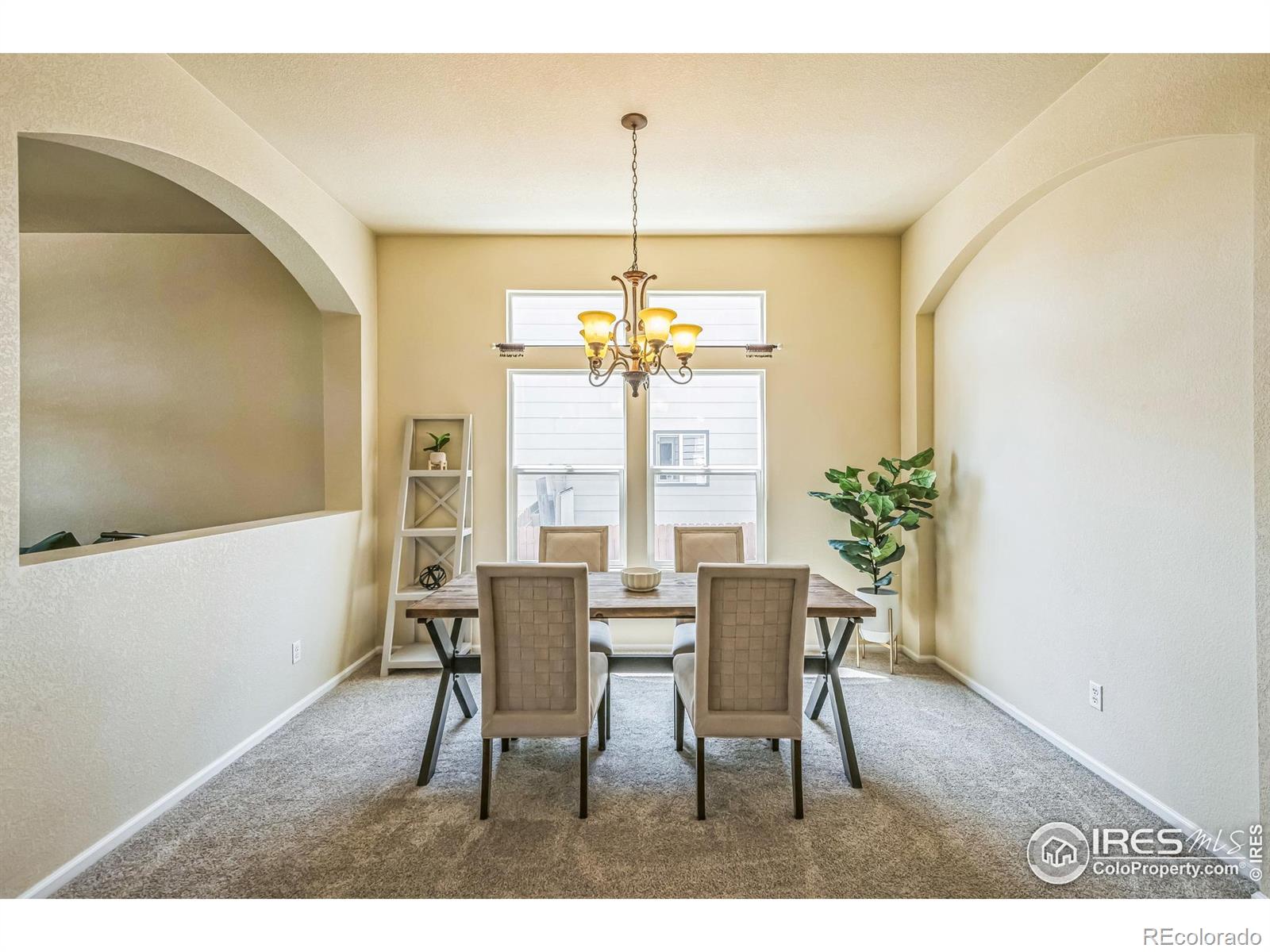 MLS Image #2 for 1404  tonkin place,longmont, Colorado