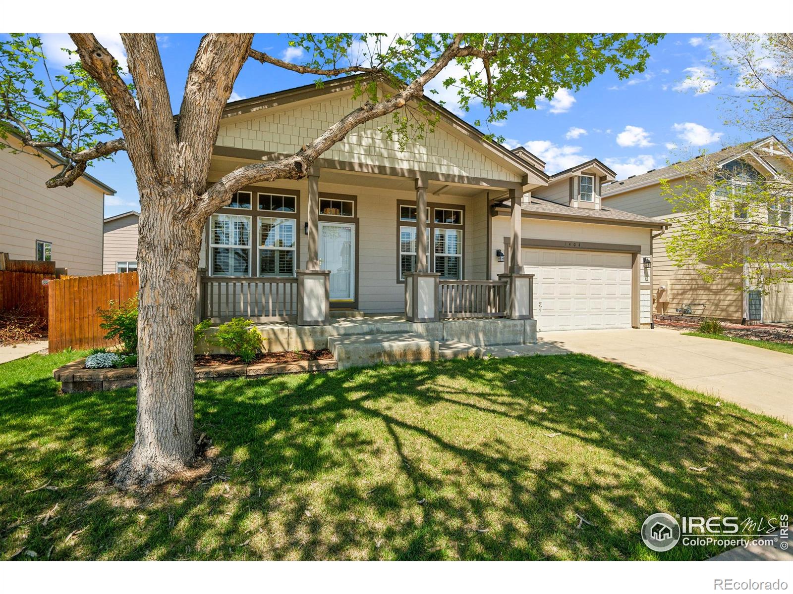 MLS Image #8 for 1404  tonkin place,longmont, Colorado