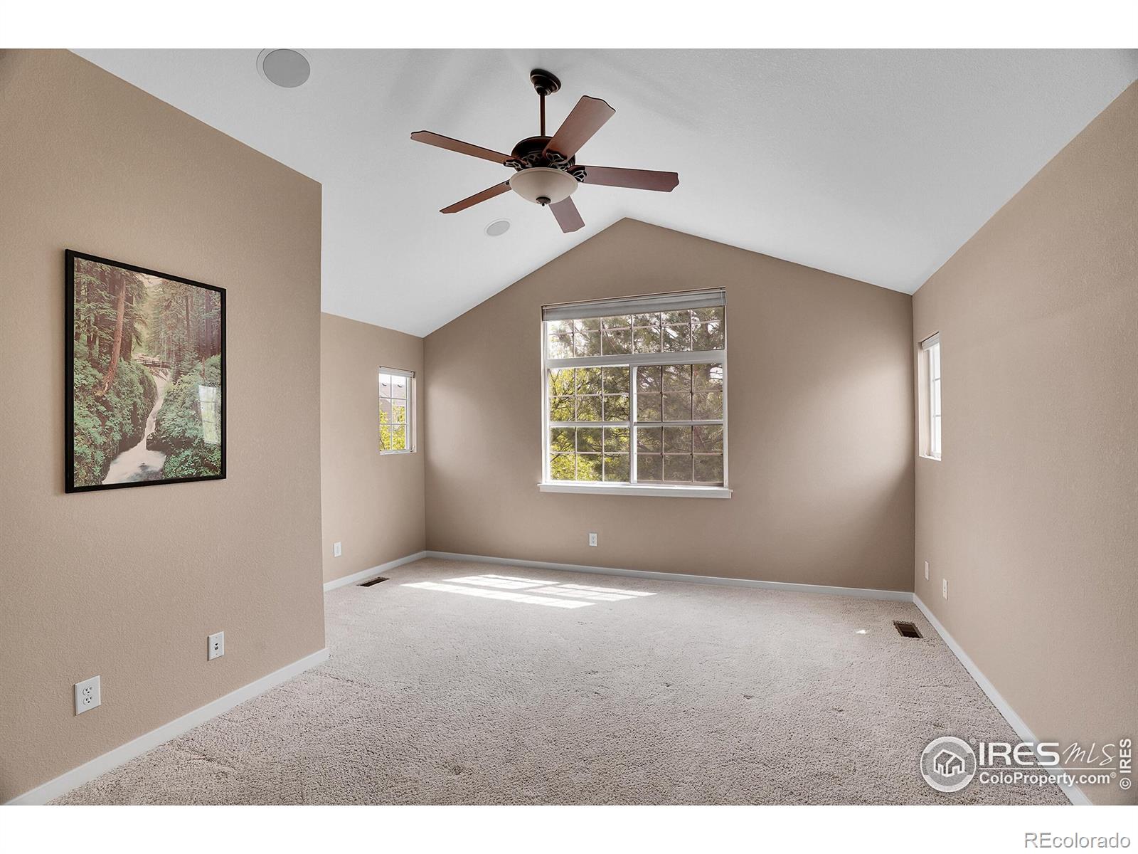 MLS Image #16 for 5134  ladies tresses place,broomfield, Colorado