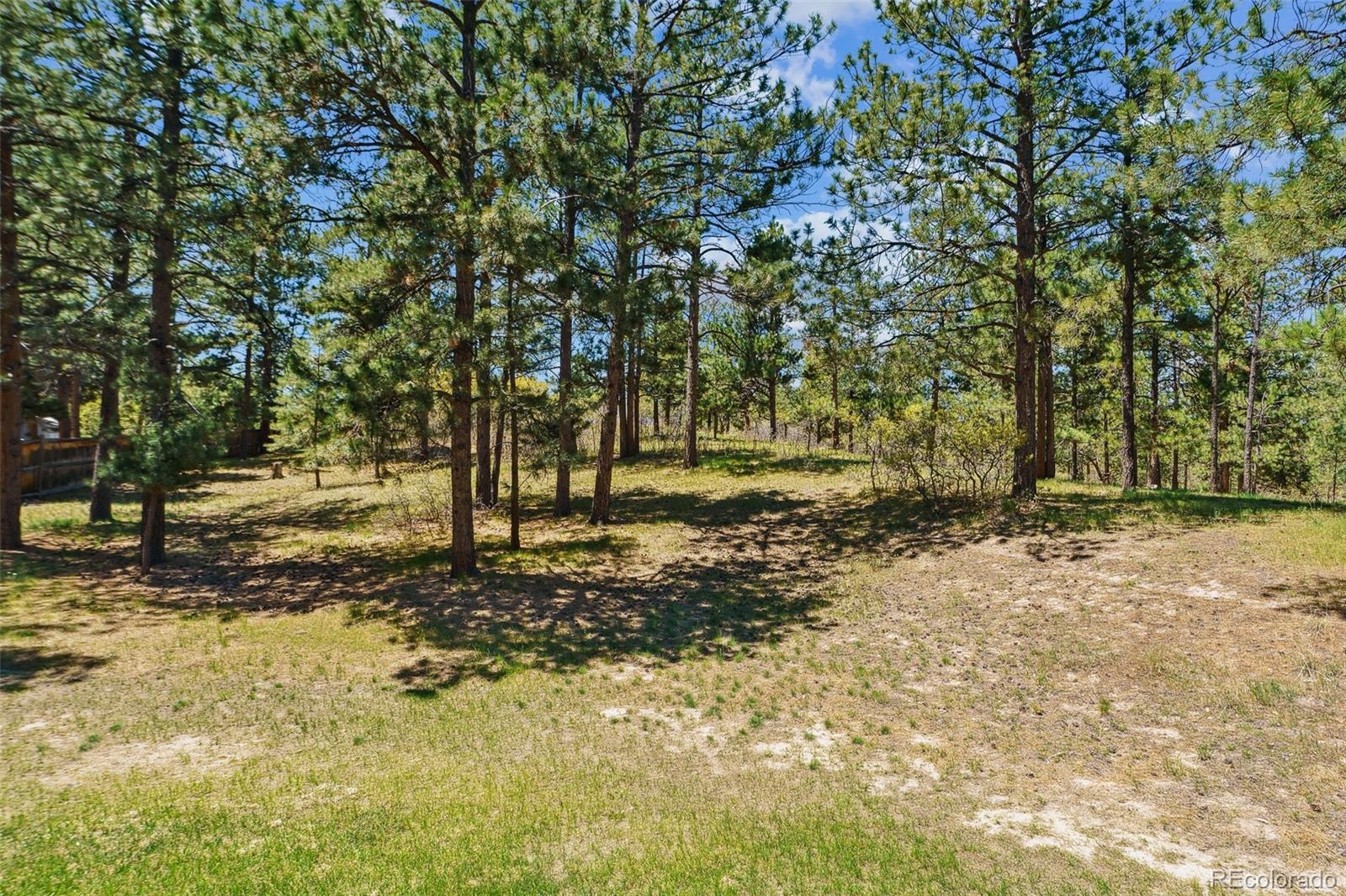 MLS Image #29 for 7701  rollins drive,larkspur, Colorado