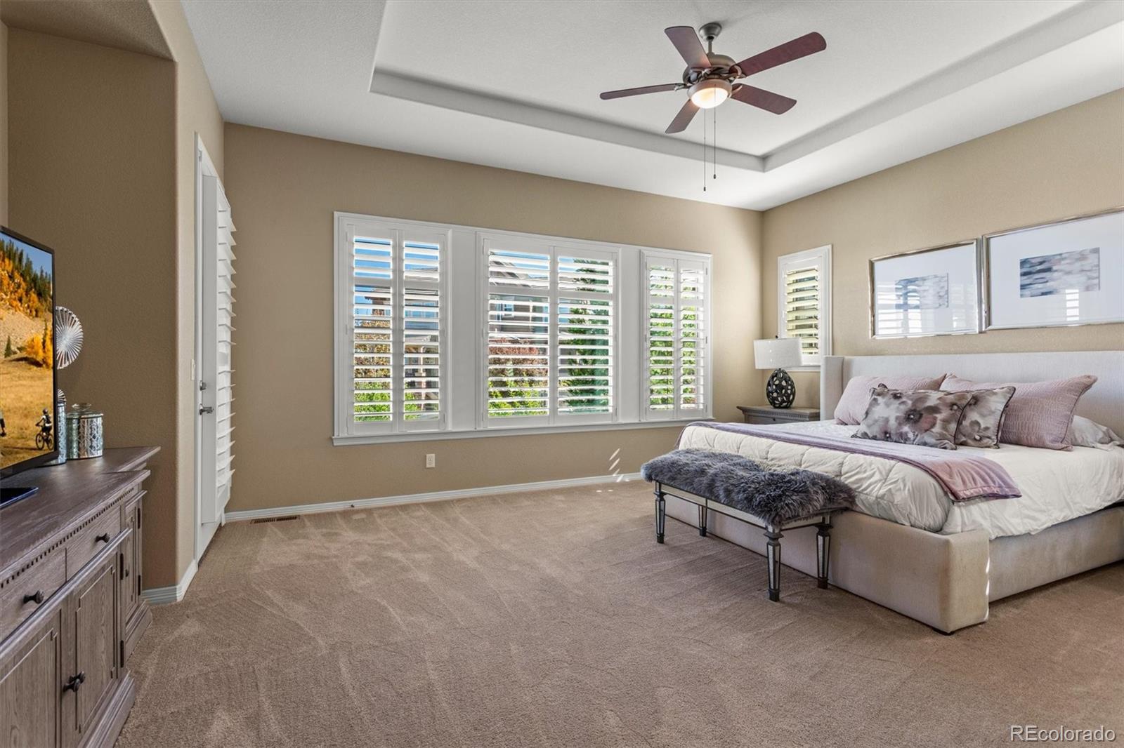 MLS Image #19 for 10687  featherwalk way,highlands ranch, Colorado