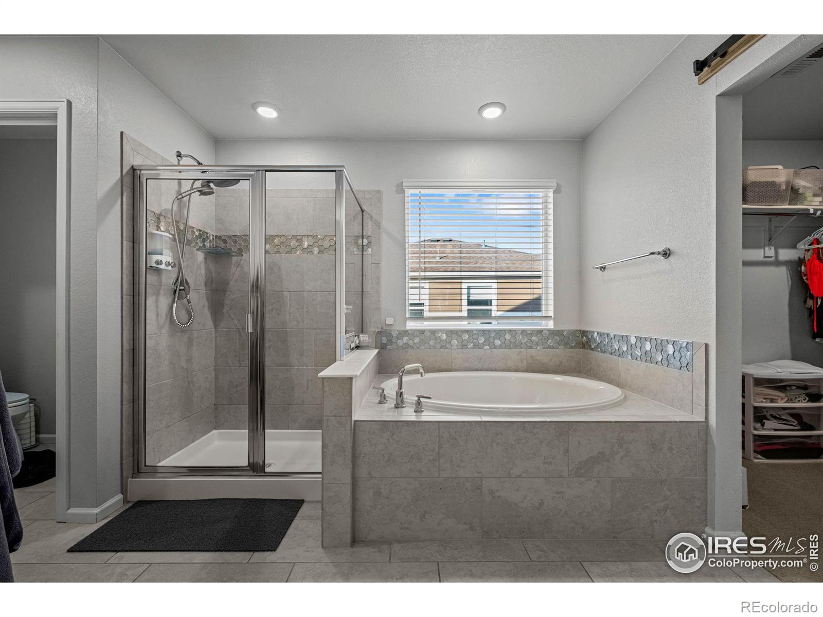 MLS Image #28 for 647  boulder peak avenue,erie, Colorado