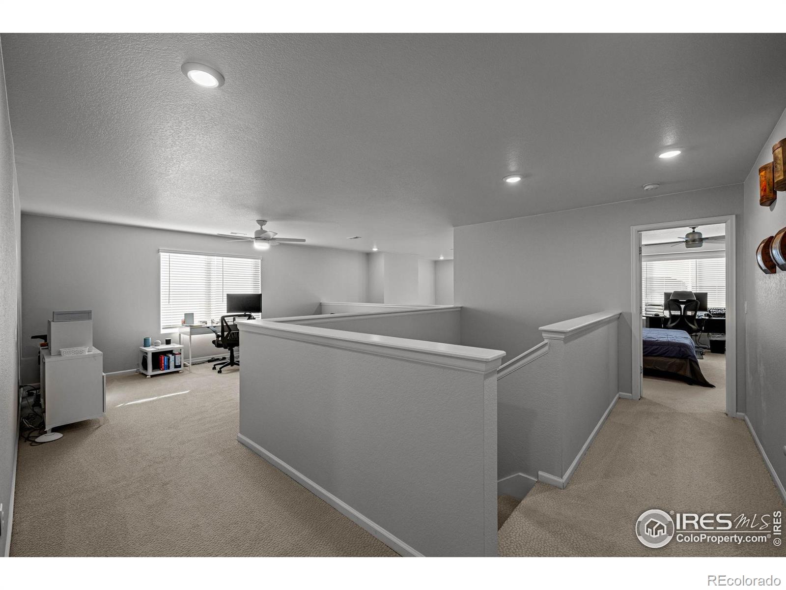 MLS Image #30 for 647  boulder peak avenue,erie, Colorado
