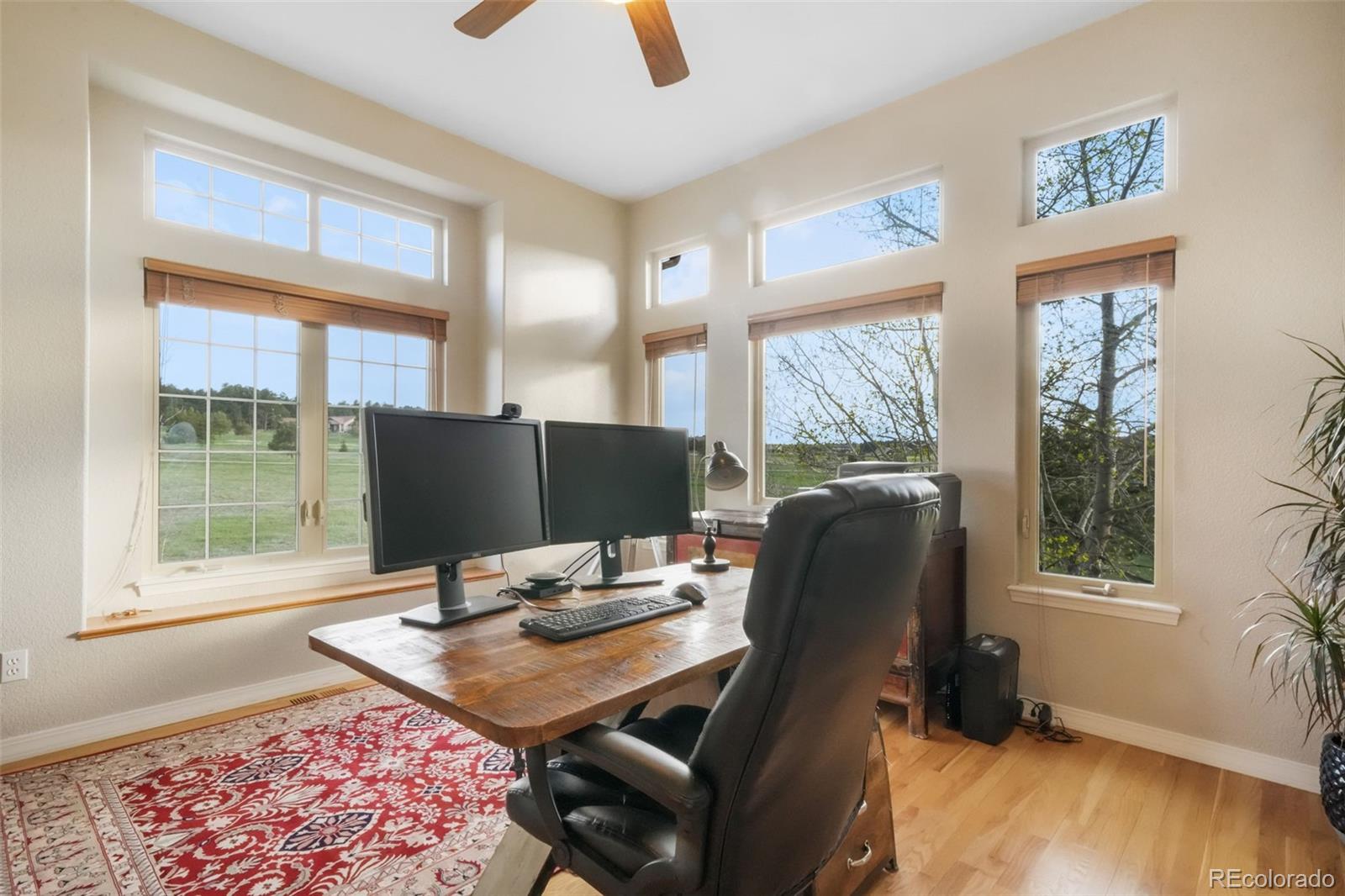MLS Image #4 for 1236  castlecombe lane,monument, Colorado