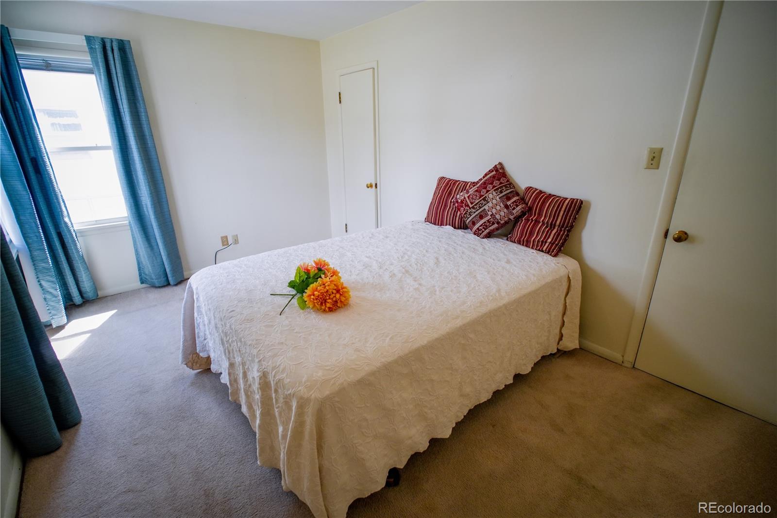 MLS Image #6 for 1313  pioneer road,colorado springs, Colorado