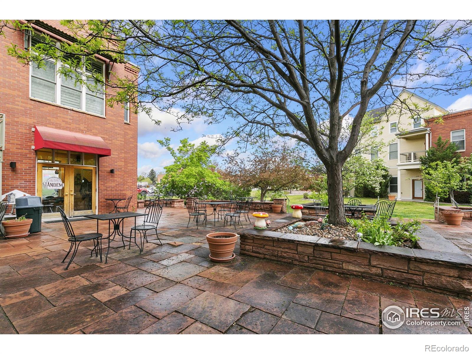 MLS Image #27 for 401  mason court,fort collins, Colorado