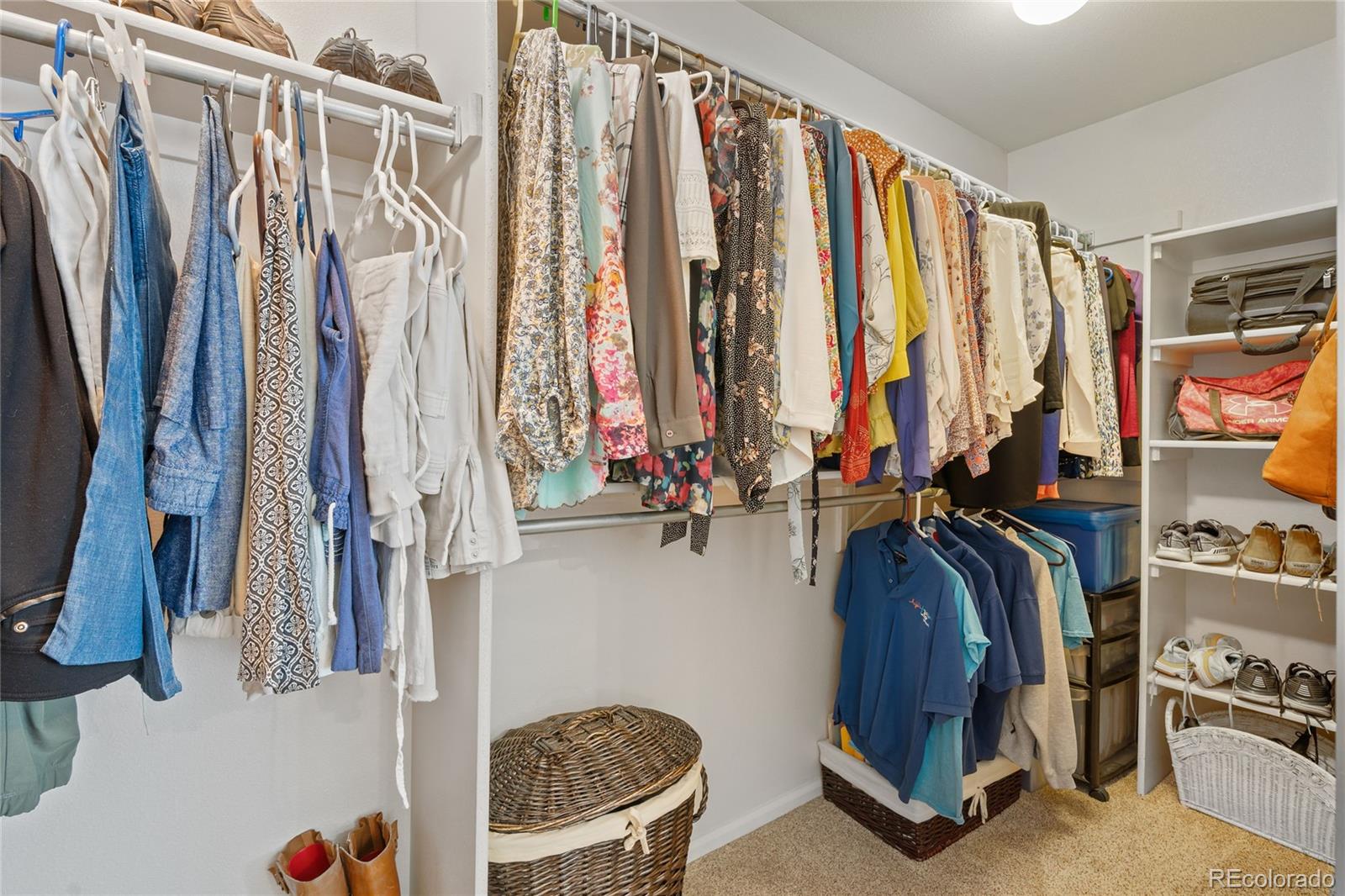 MLS Image #14 for 8408  everett way,arvada, Colorado