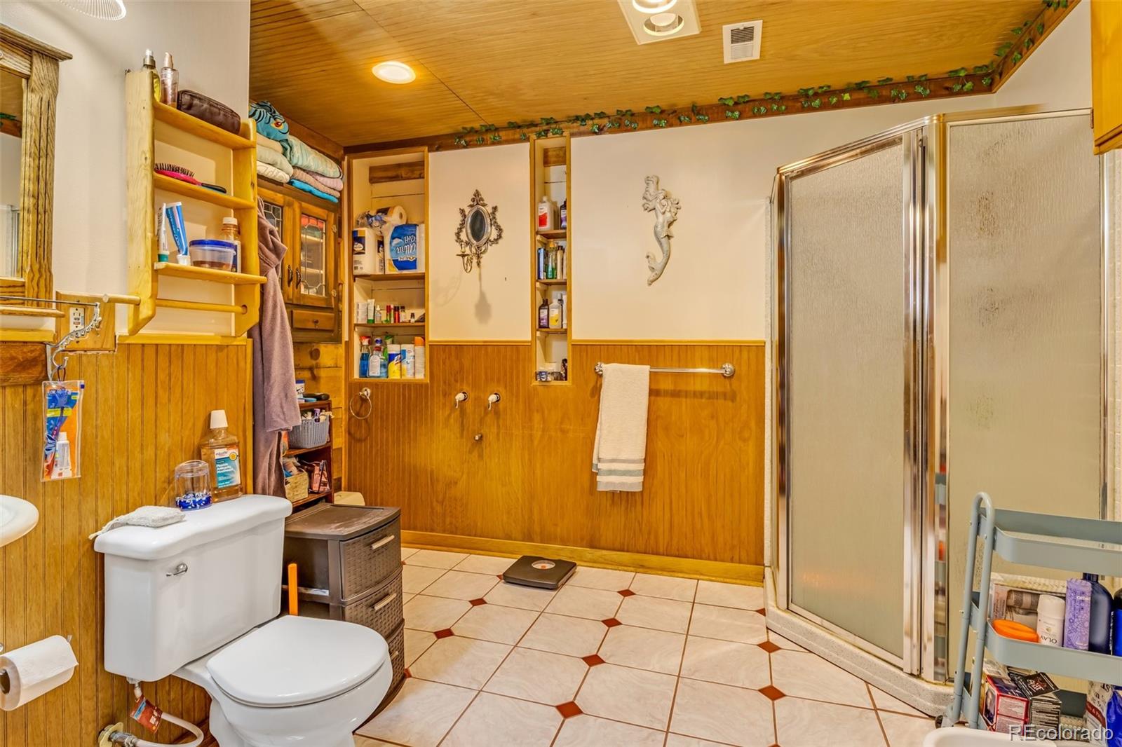 MLS Image #31 for 200 n 3rd st ,victor, Colorado