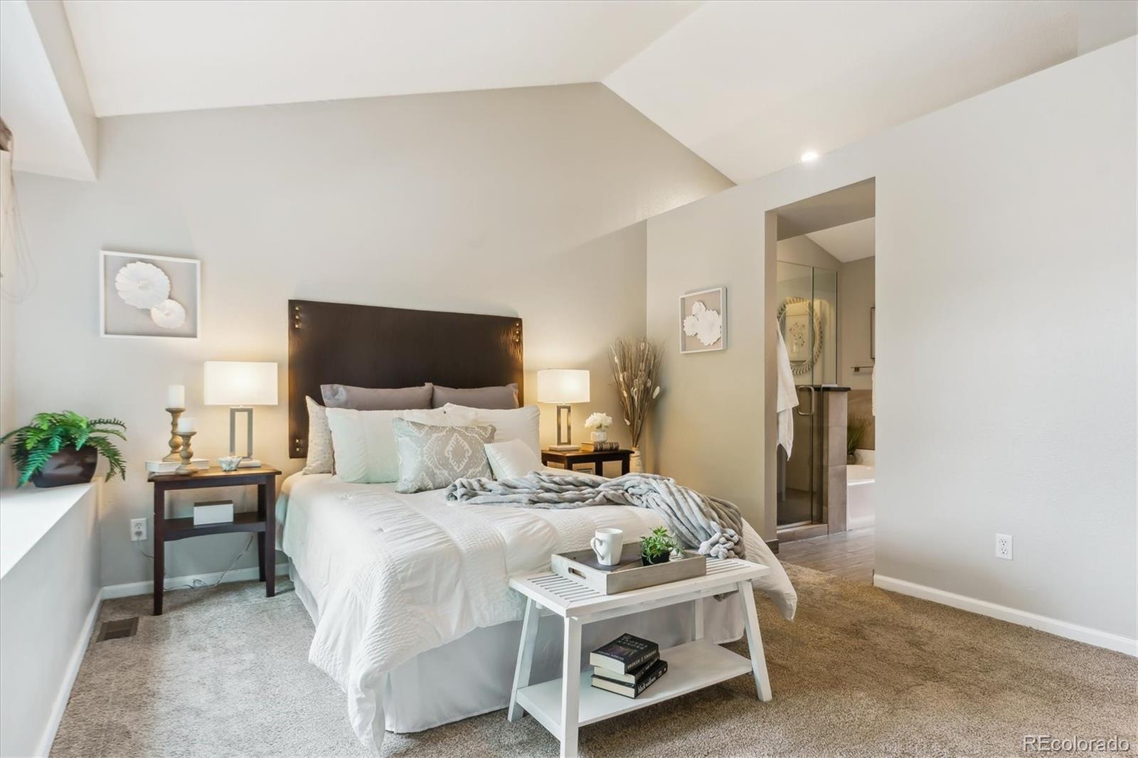 MLS Image #20 for 156 s lindsey street,castle rock, Colorado
